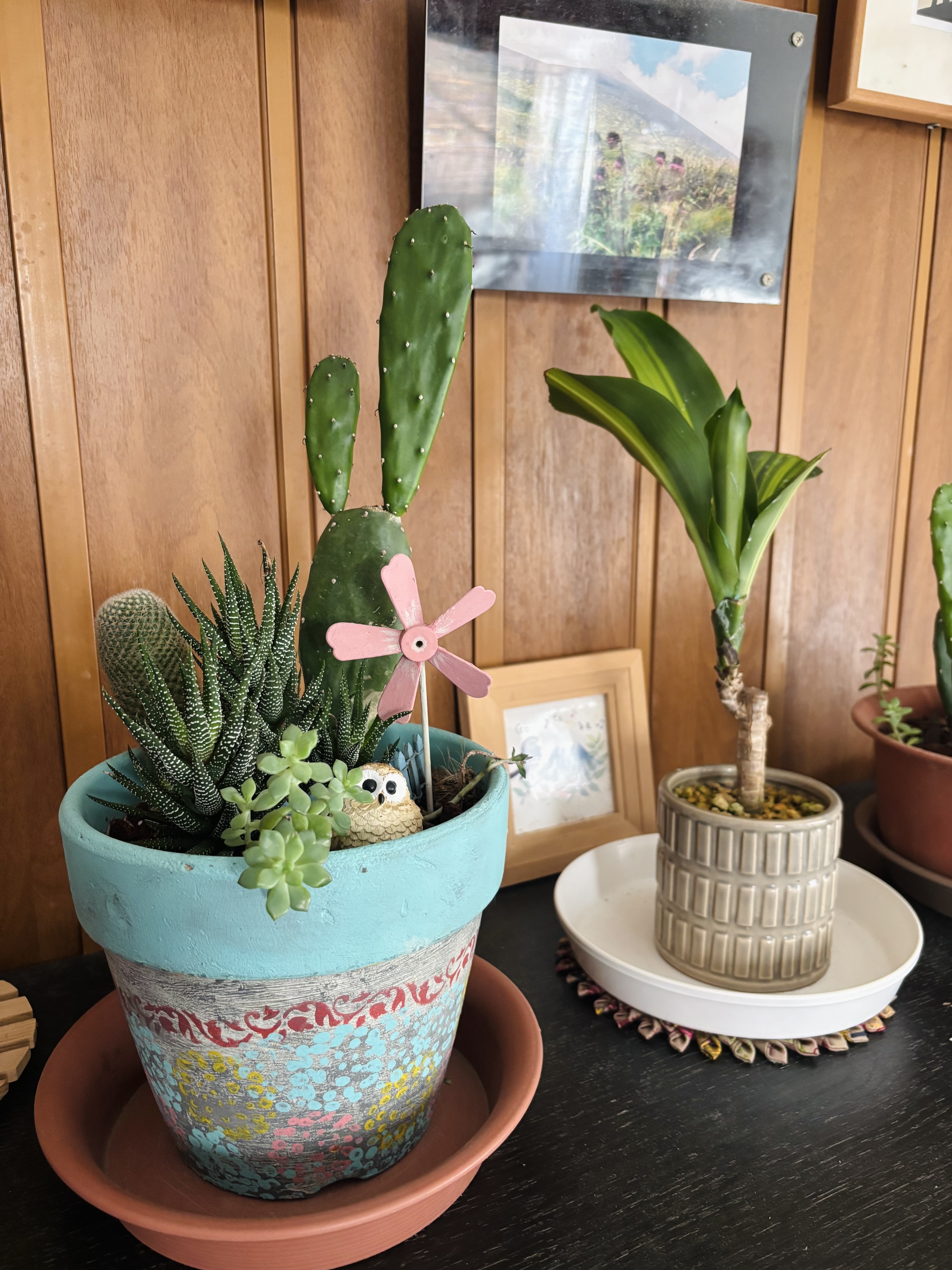 リメイク植木鉢 リメイク鉢植えサボテン | CAINZ DIY Square