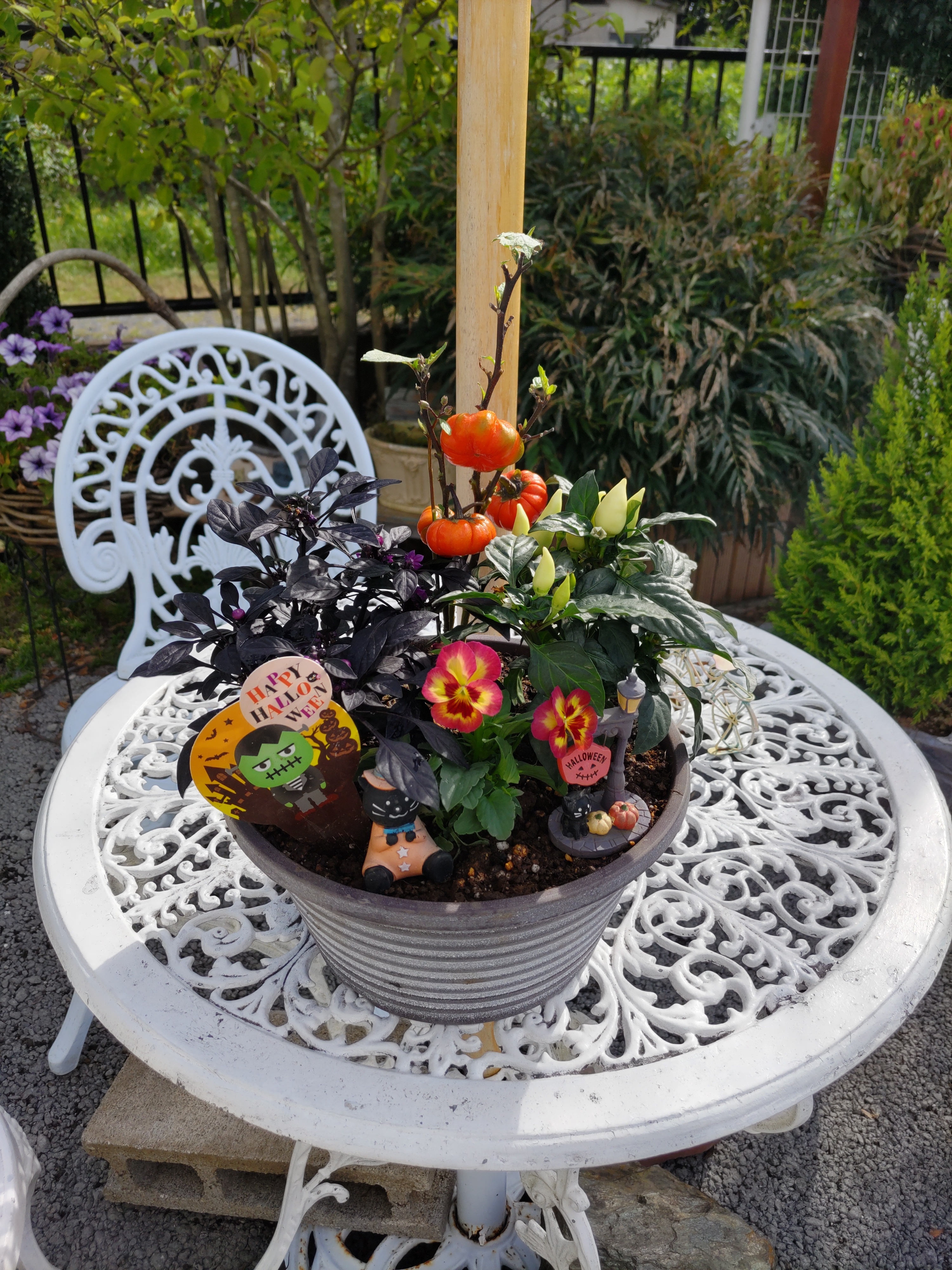 ハロウィンの寄せ植え🎃 | CAINZ DIY Square