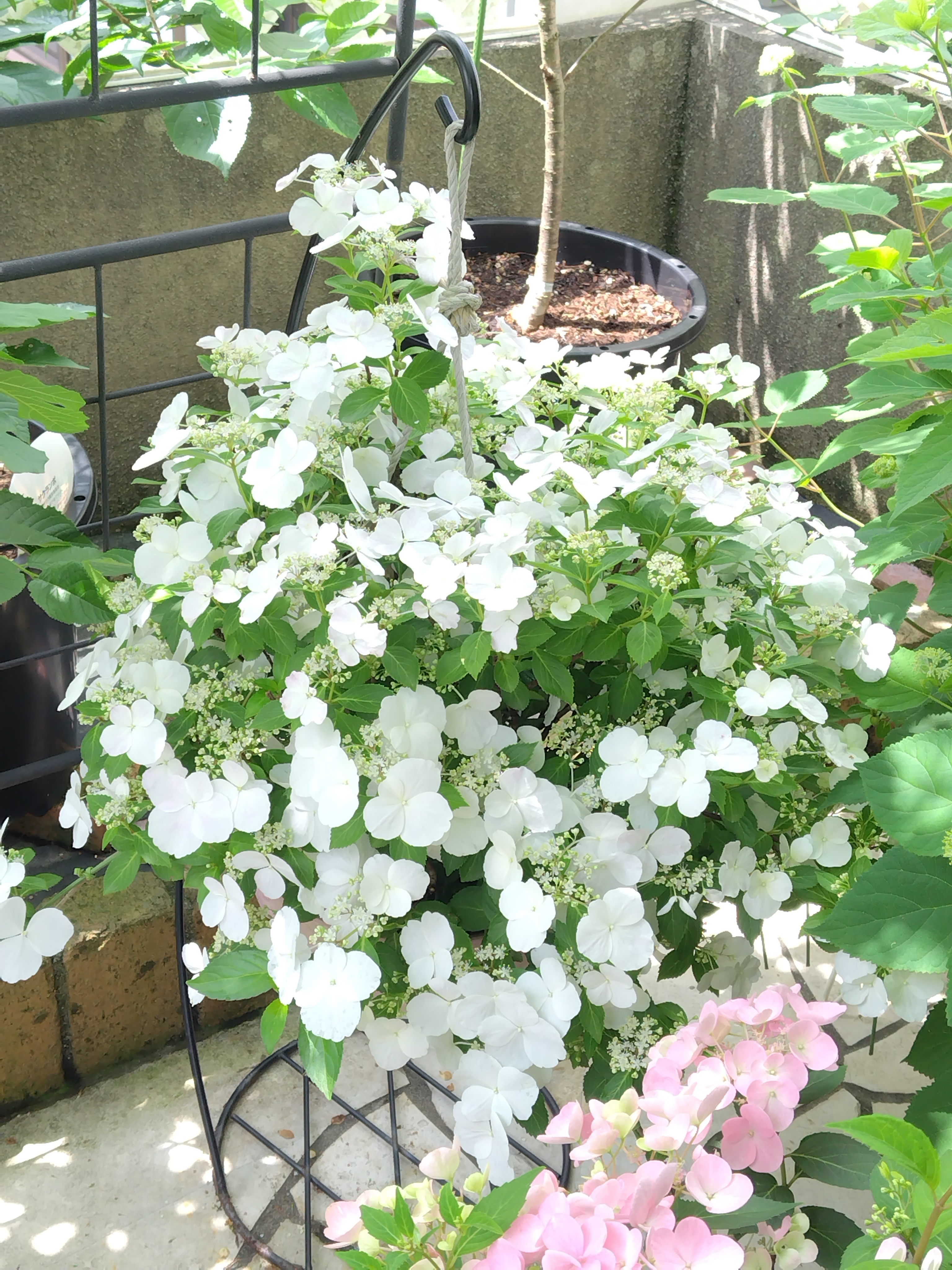 39301b59-2584-456e-a2e1-