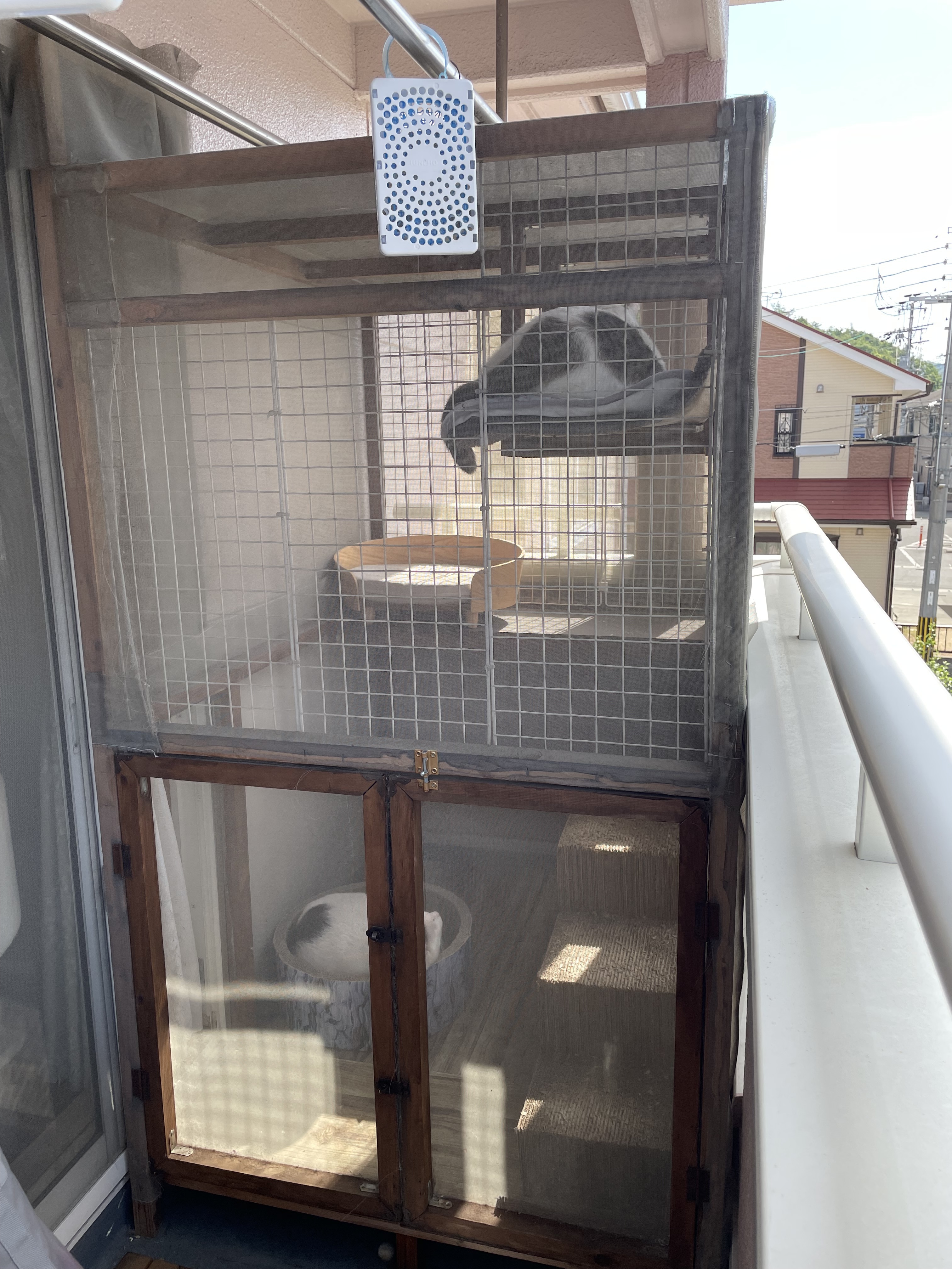 ベランダ半分こ🐈
