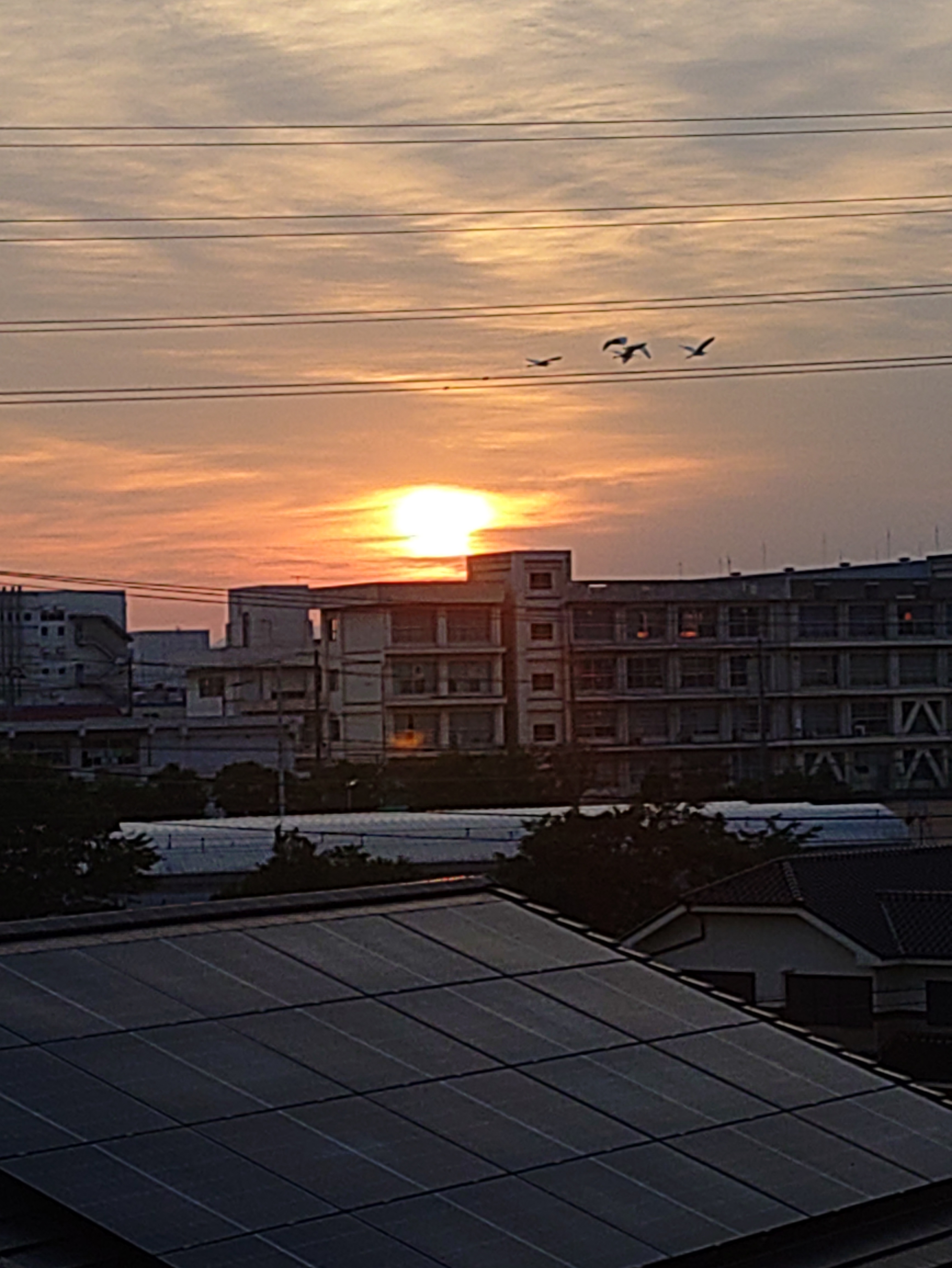 雲間からの日の出🌄 | TORQUE STYLE