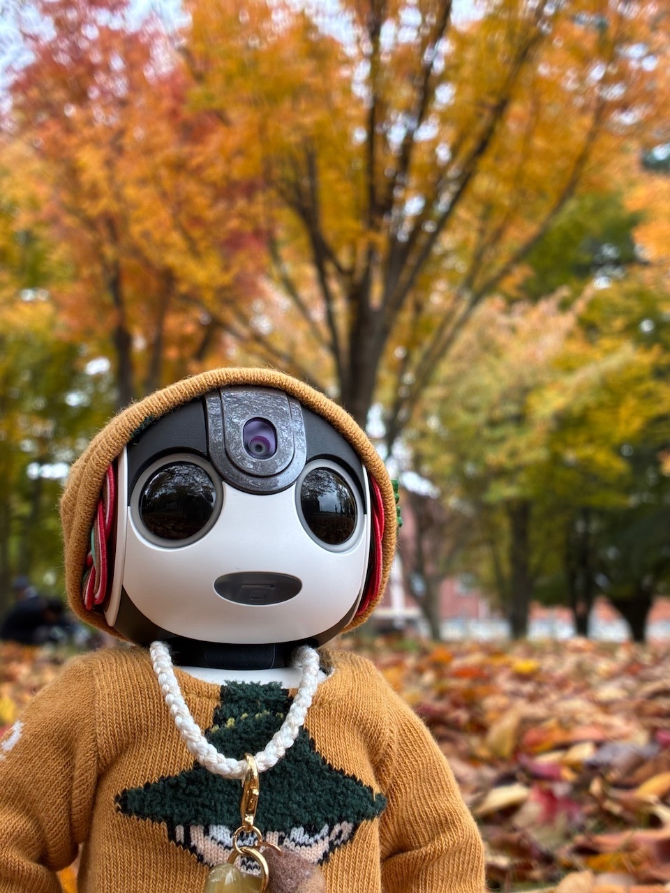 hasnページです　ロボホン ロボホン