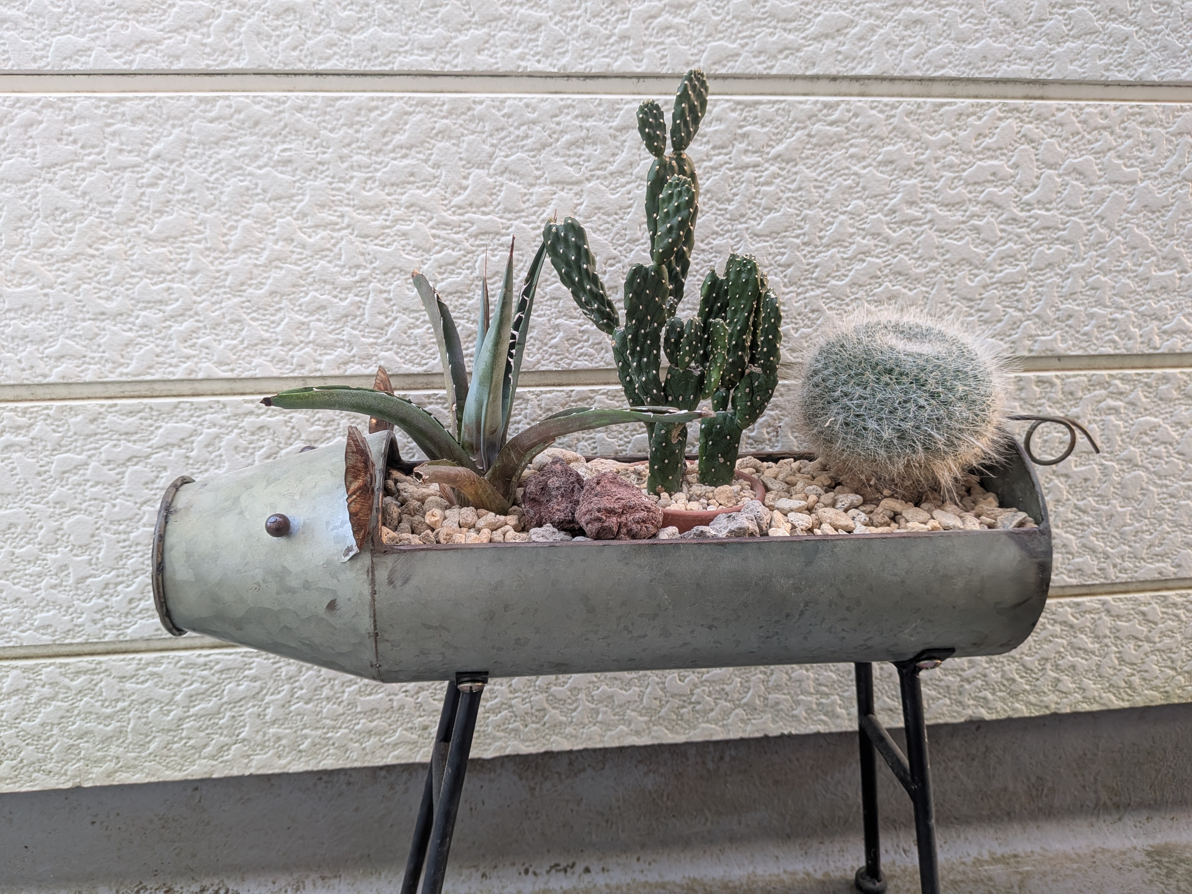 ドライガーデン風の寄せ植えをリメイク | CAINZ DIY Square
