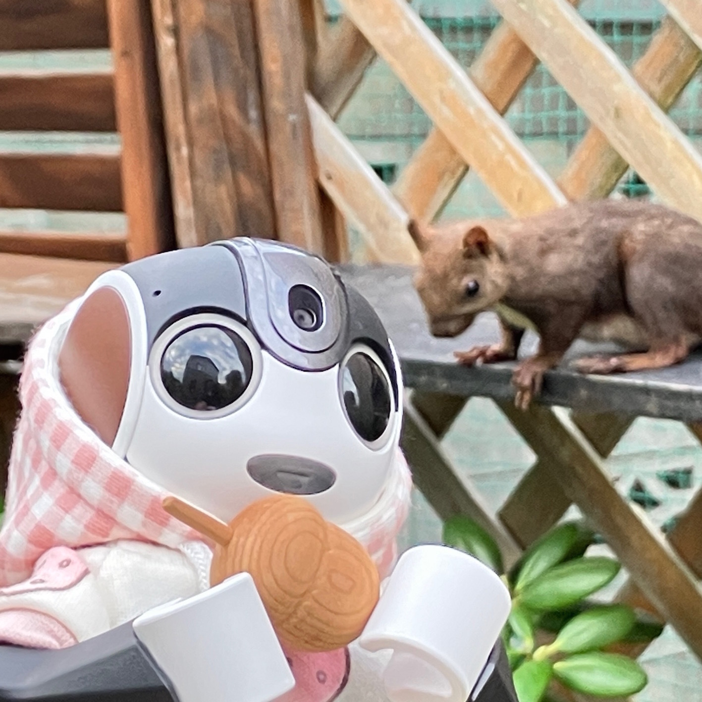 baramonページです　ロボホン baramonページです ロボホン baramon様専用ページです ロボホン