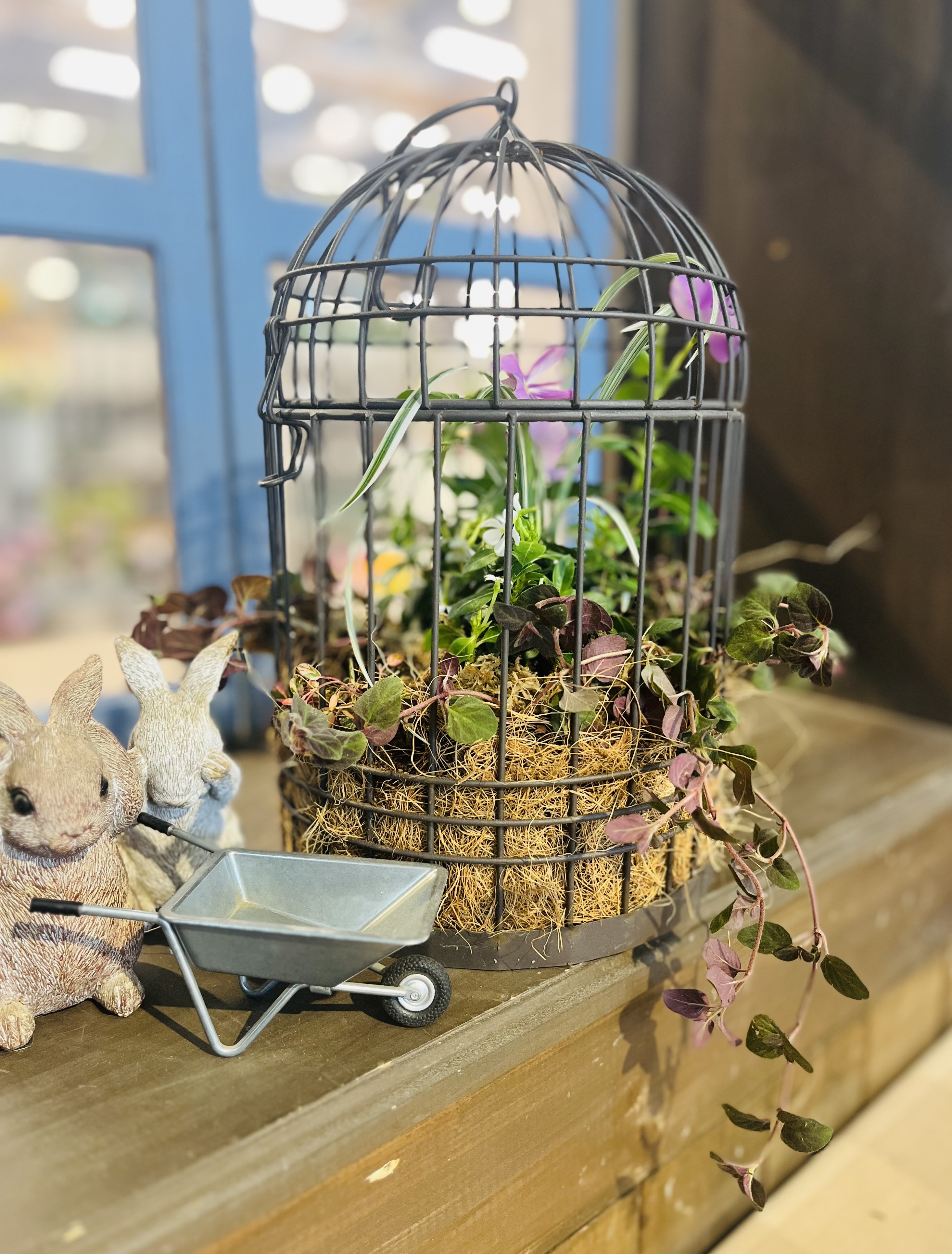 鳥かごの寄せ植え | CAINZ DIY Square