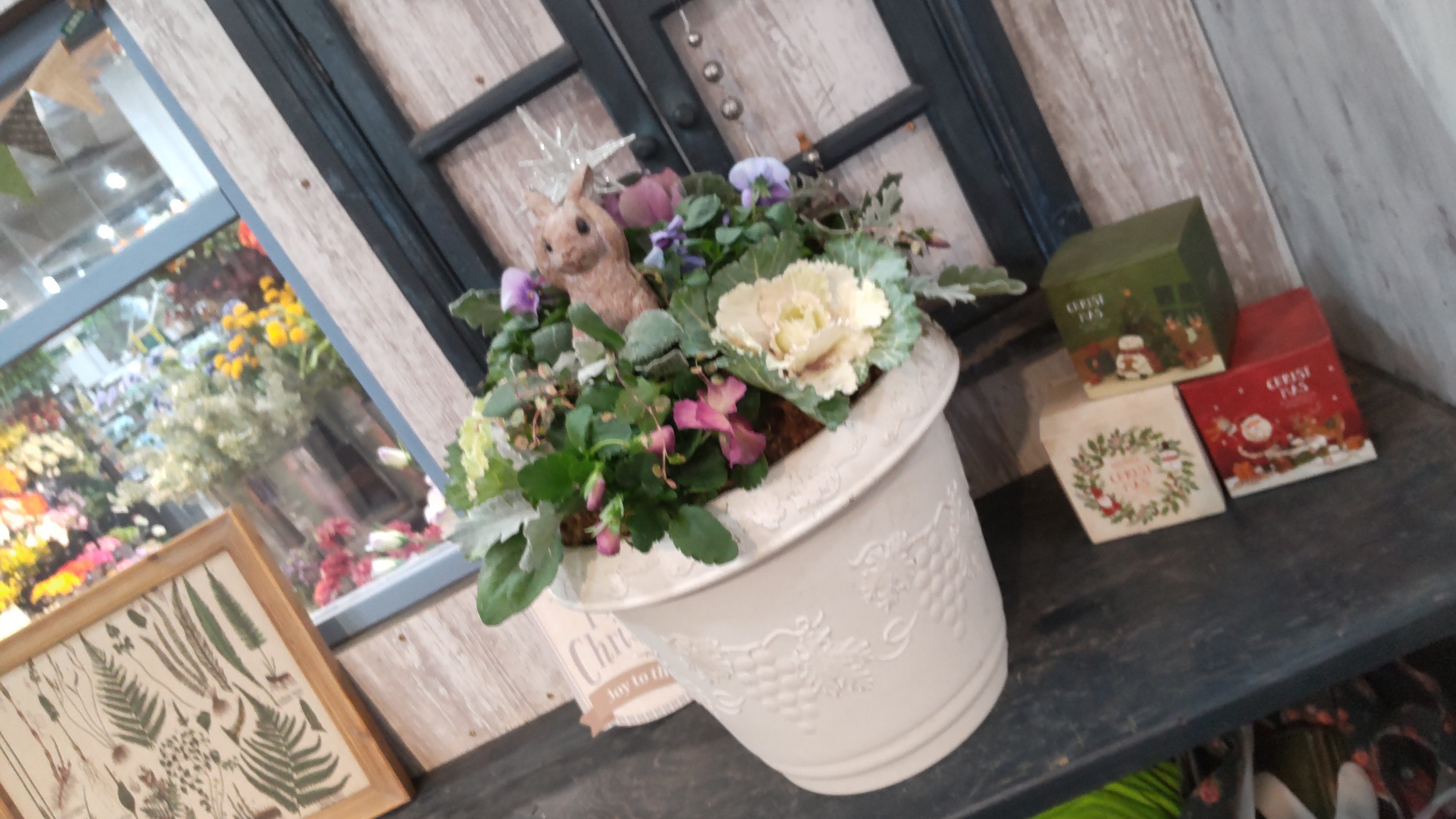 マウント寄植え | CAINZ DIY Square