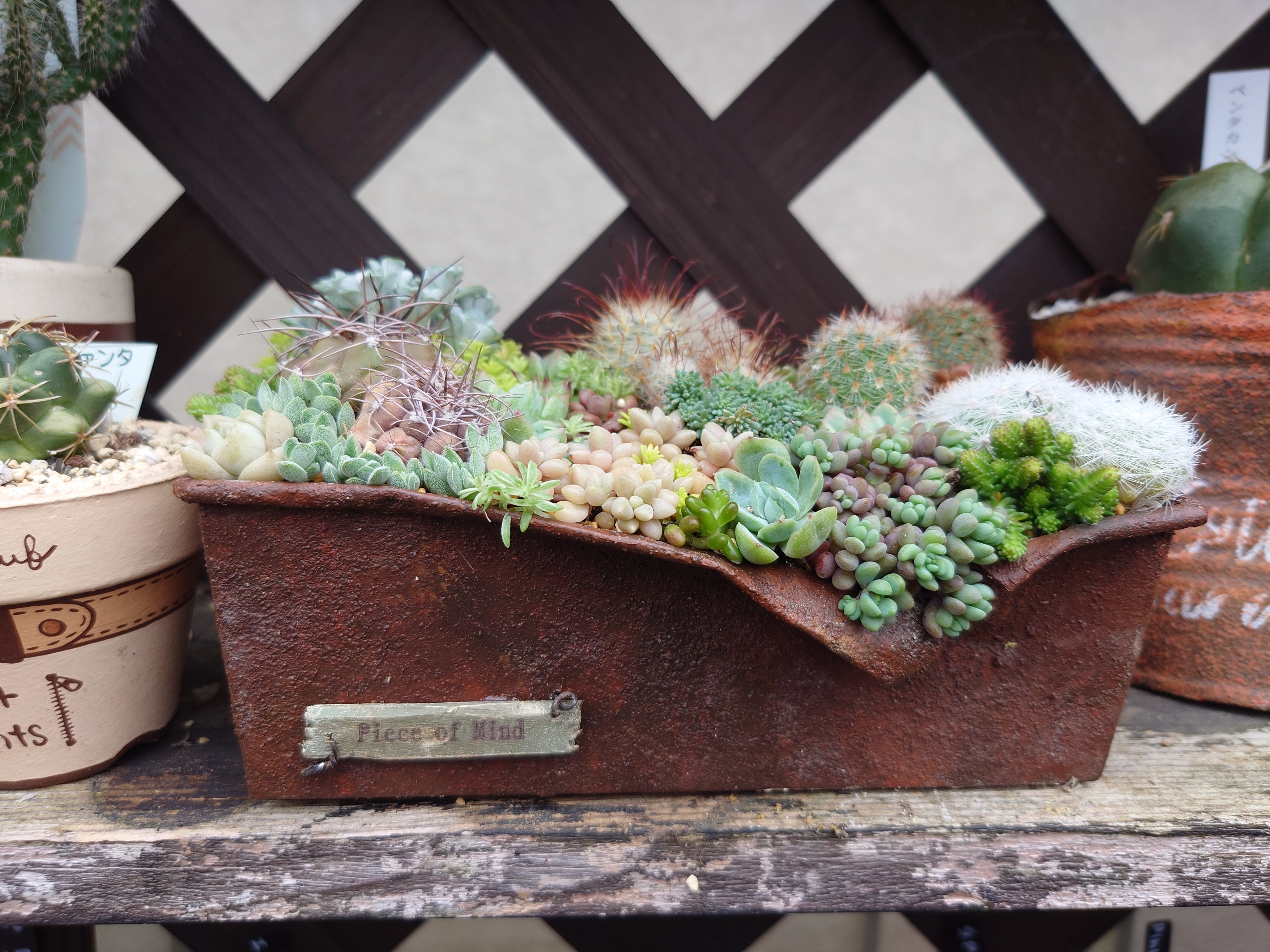 92547927-63f0-4d7e-803d-