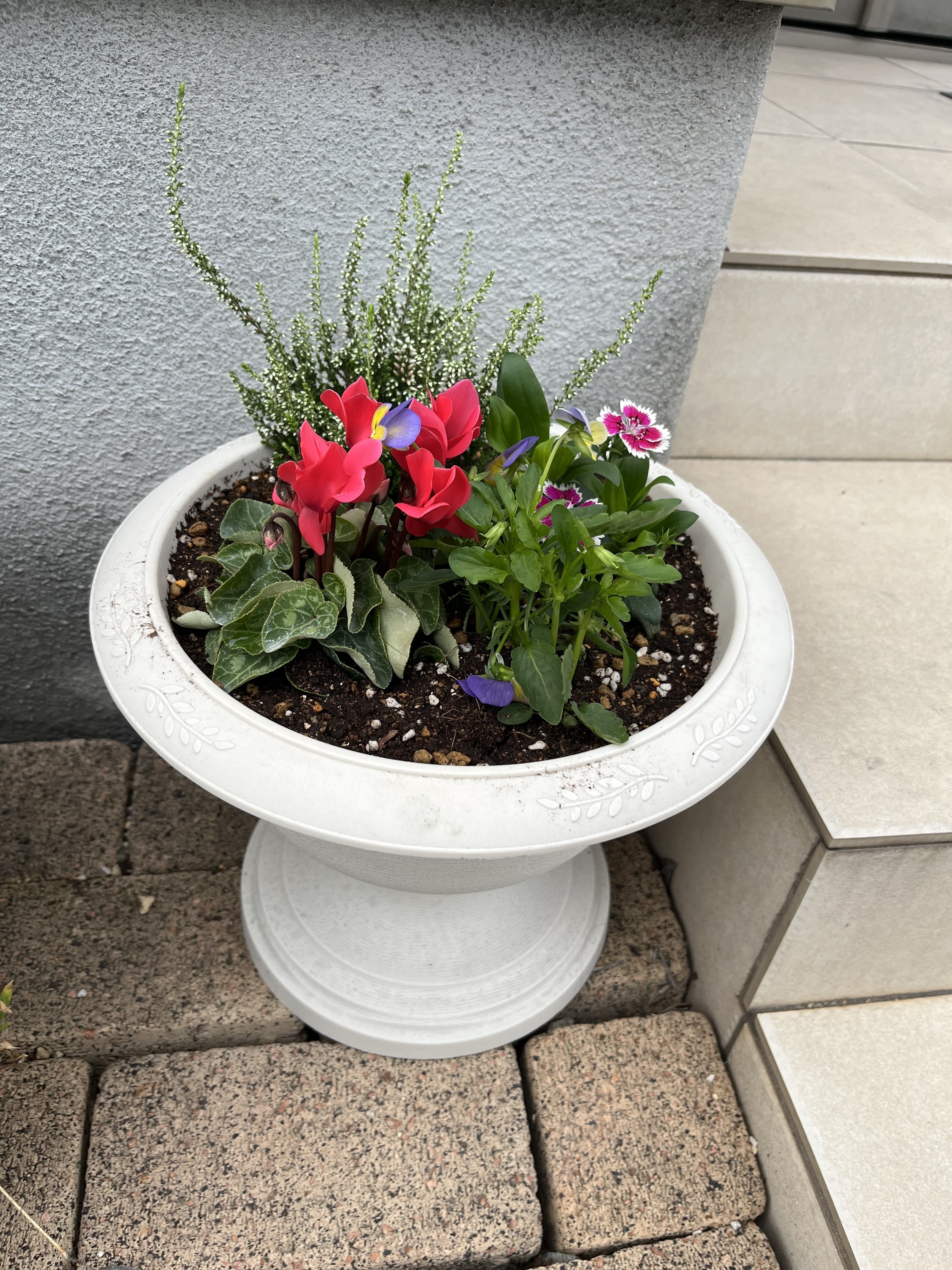 寄せ植え | CAINZ DIY Square