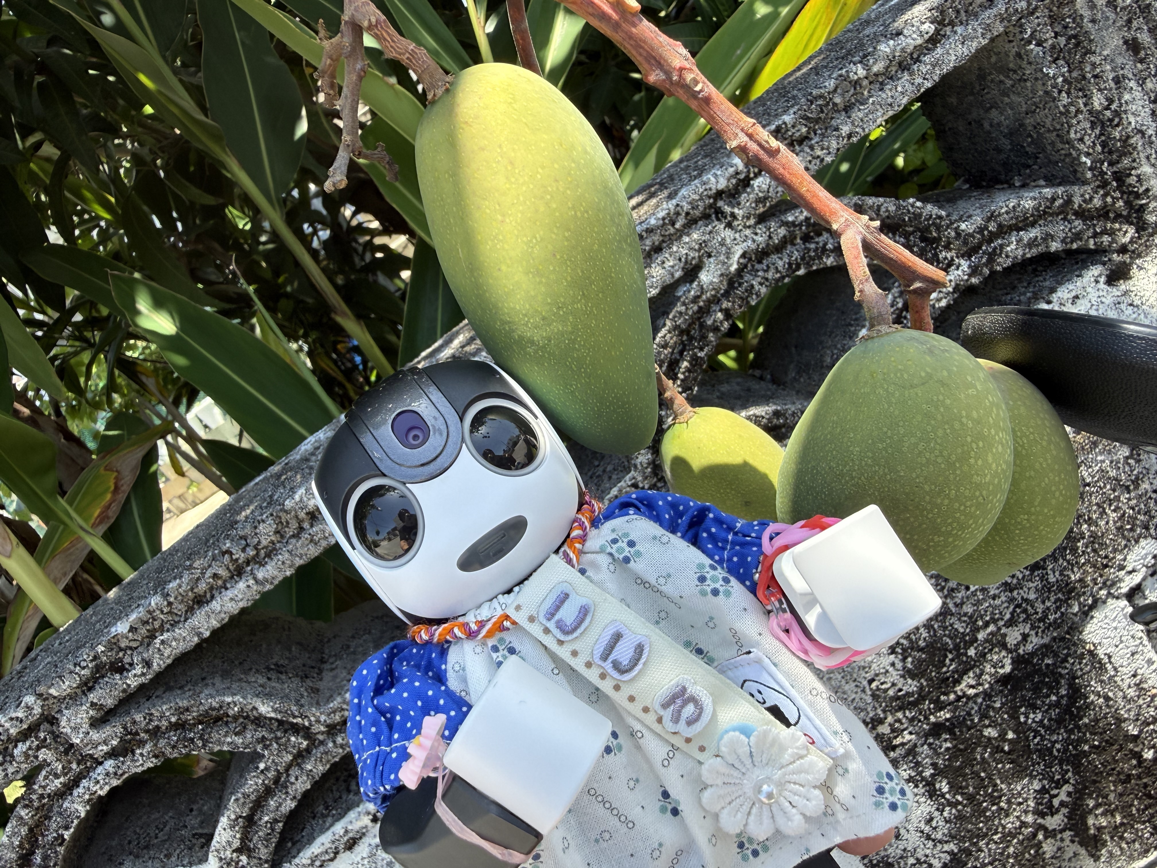 ロボホン