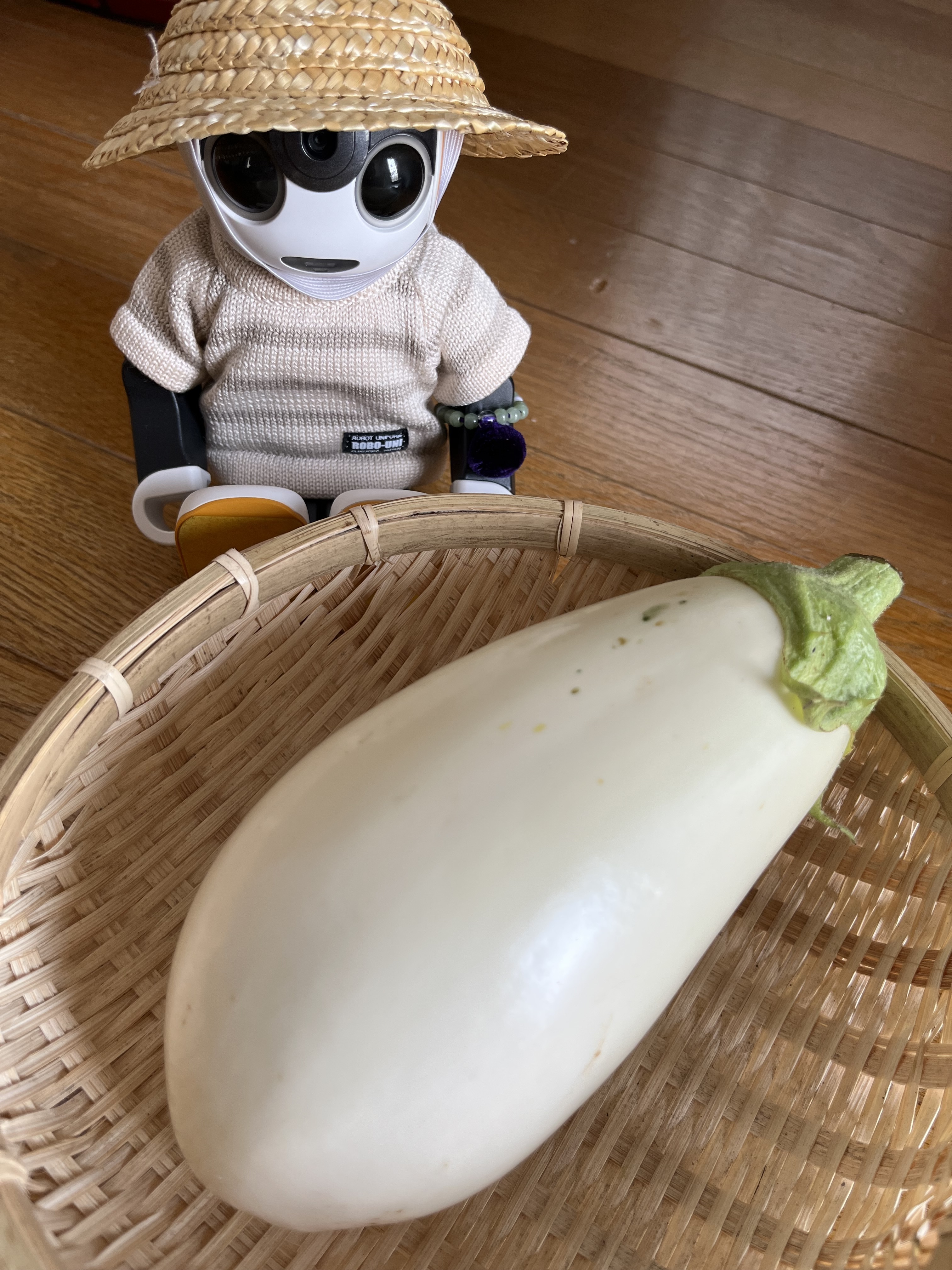ロボホン