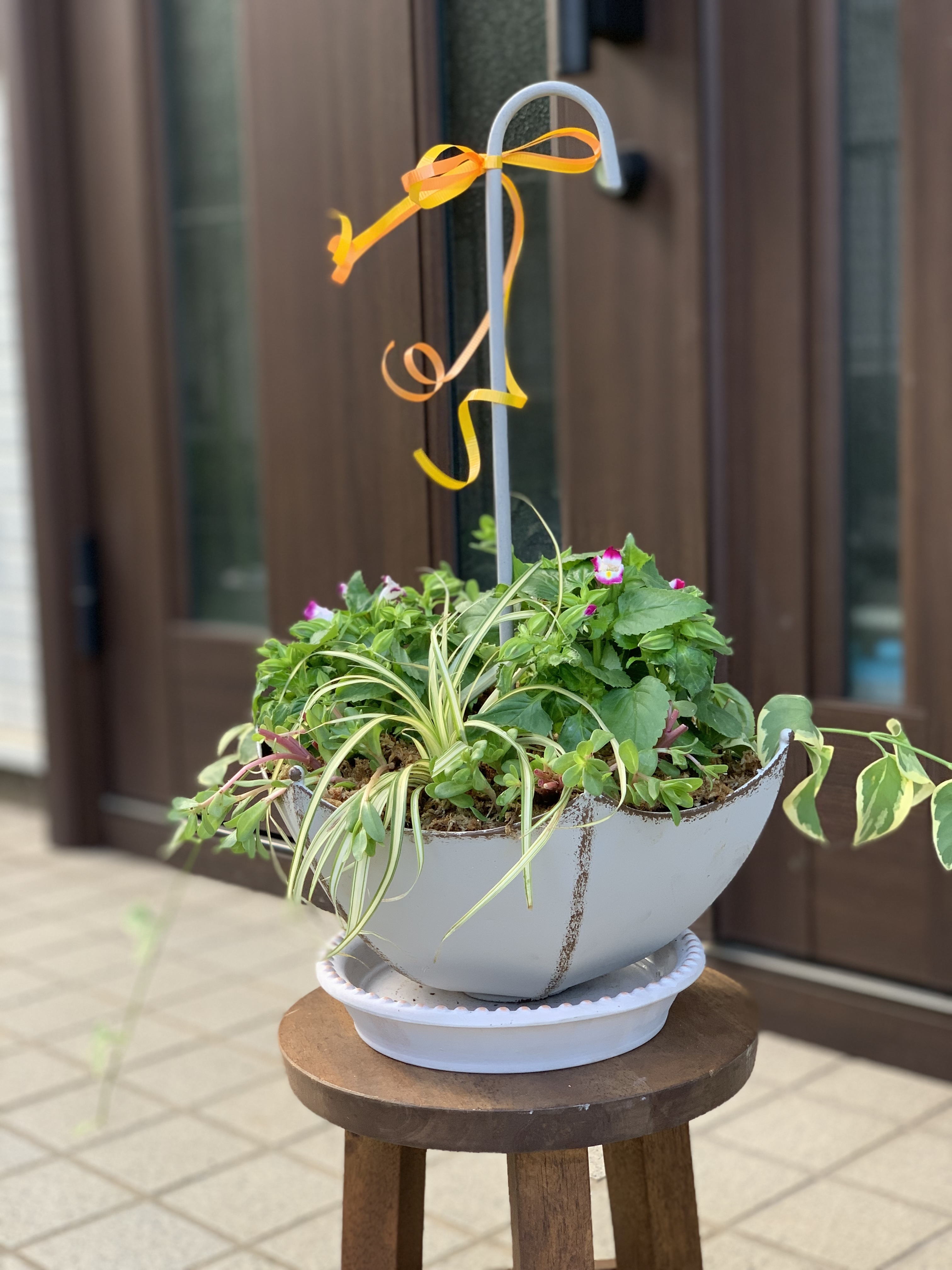 グリーンワークショップ | CAINZ DIY Square