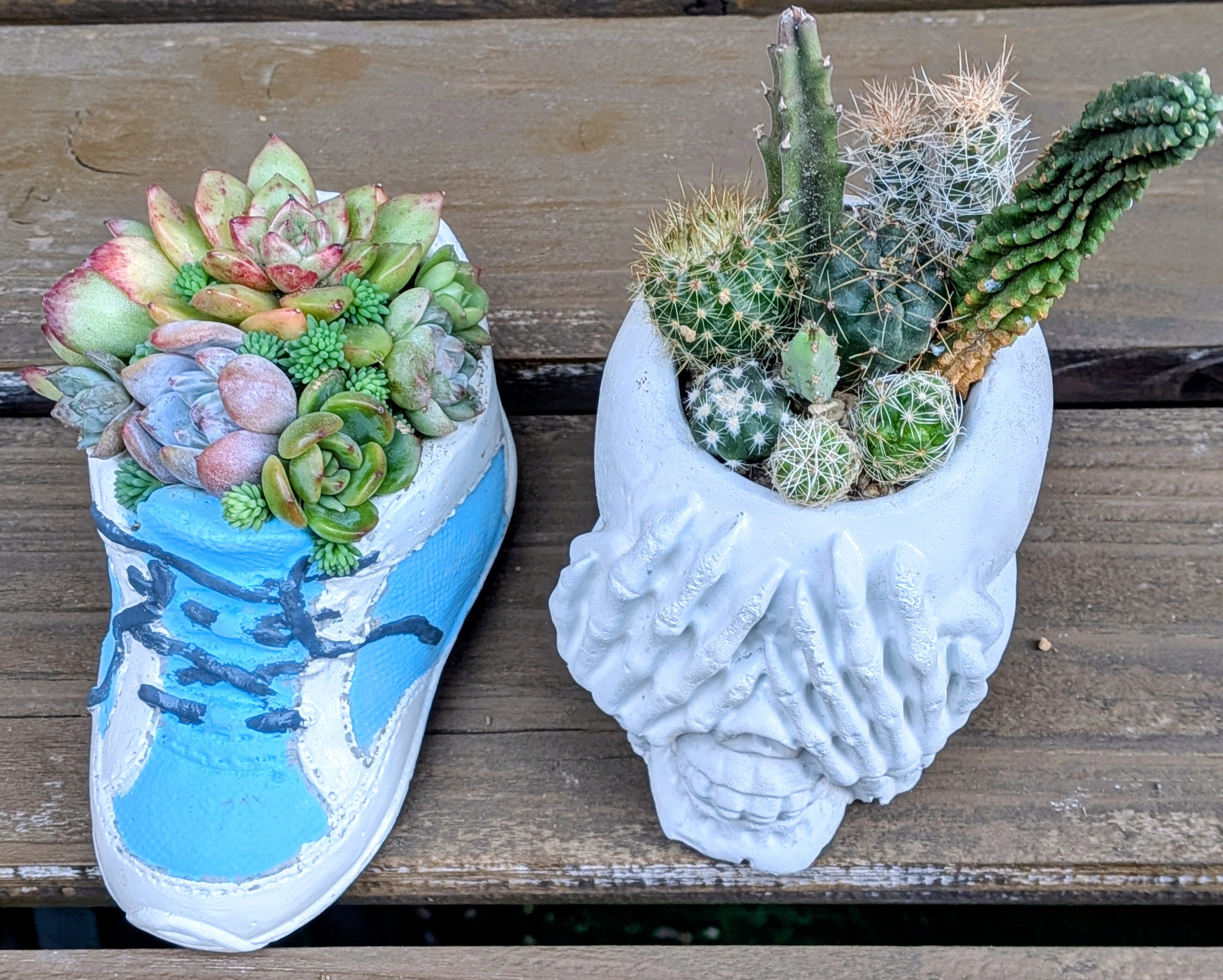 【新品未使用】ペイント スニーカー 鉢 寄せ植え🌵 | CAINZ DIY Square