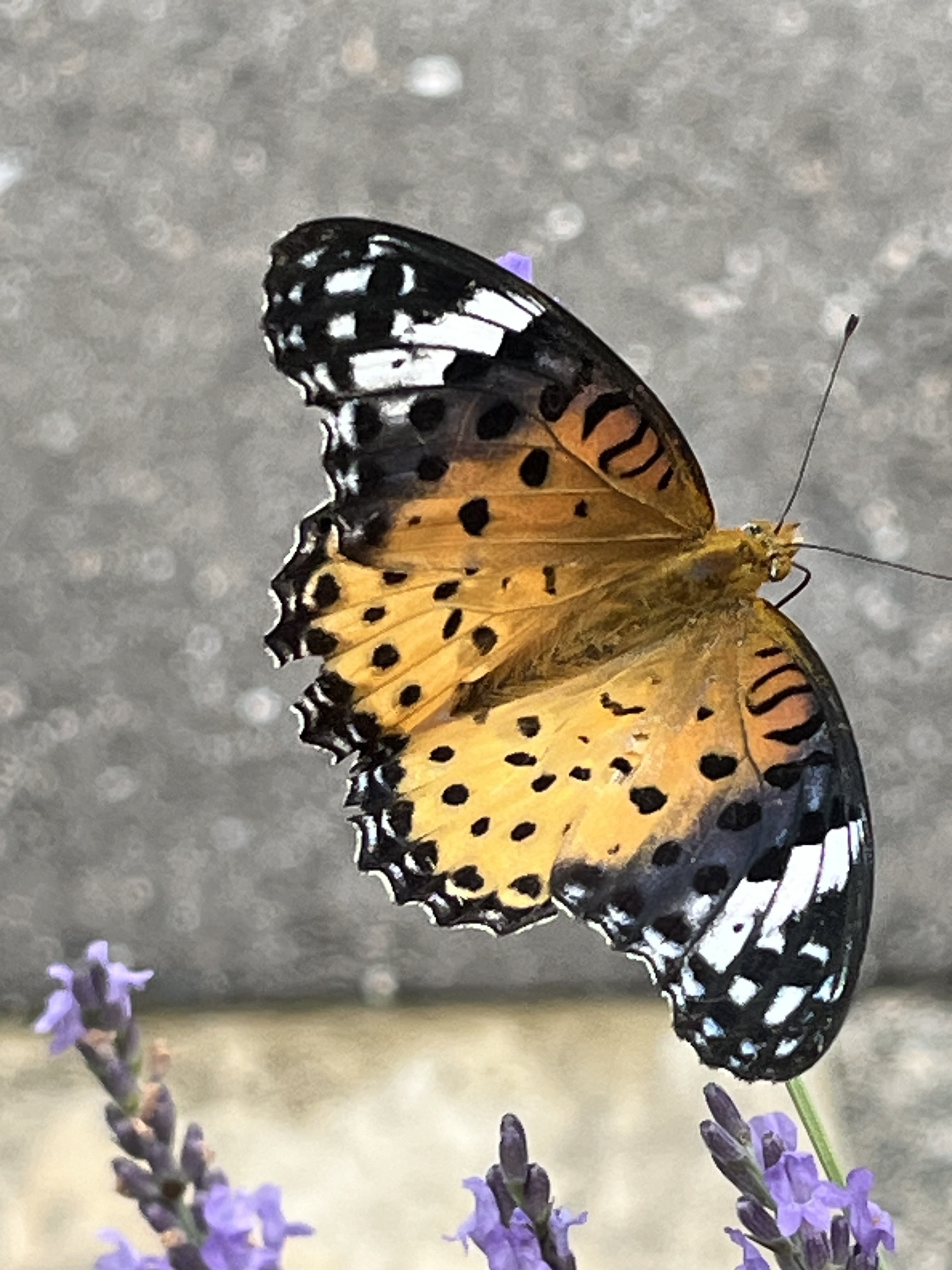 7bd85cb6-919c-45d8-b686-