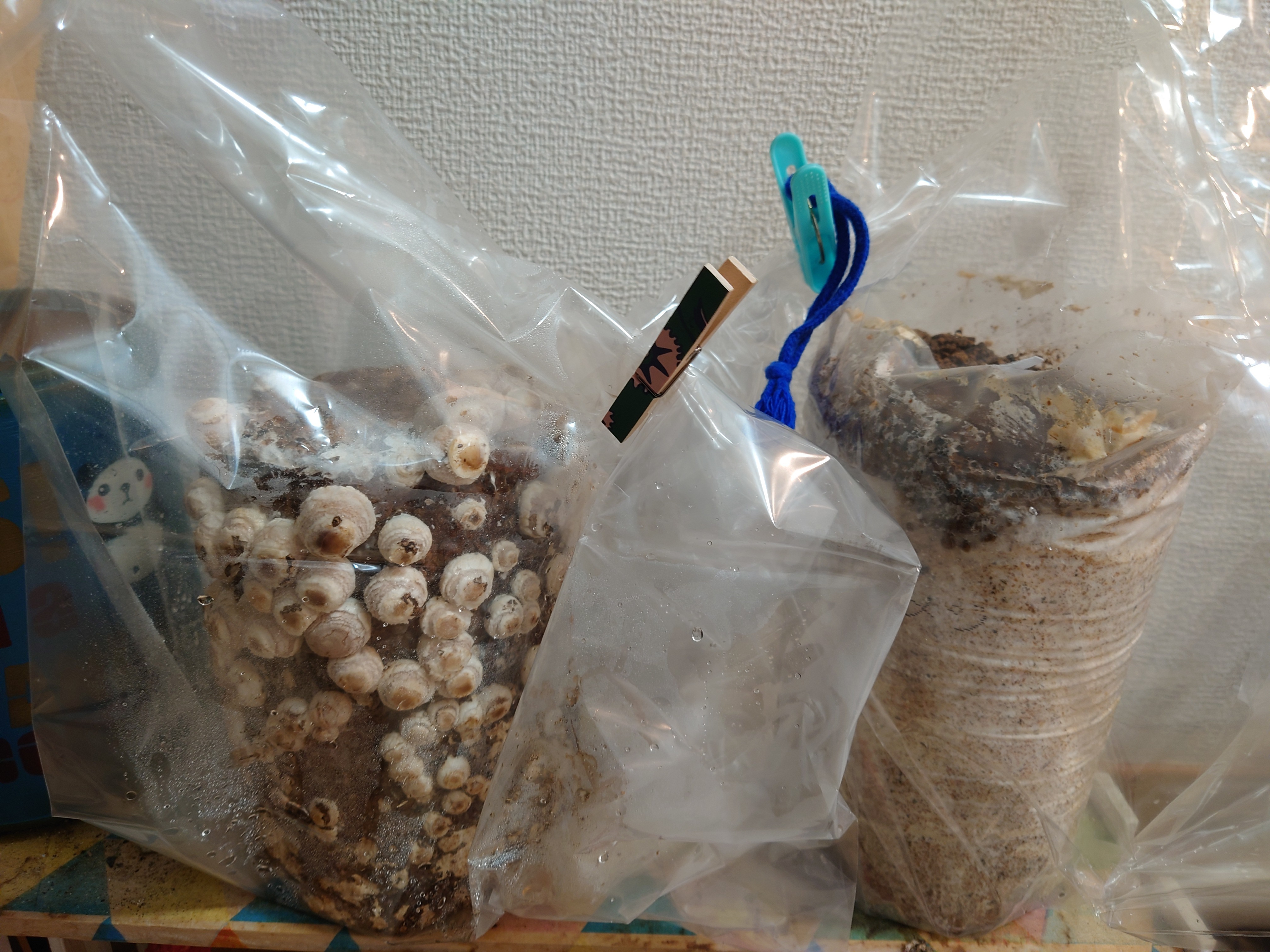 f8c587d9-81d9-40c9-a547-