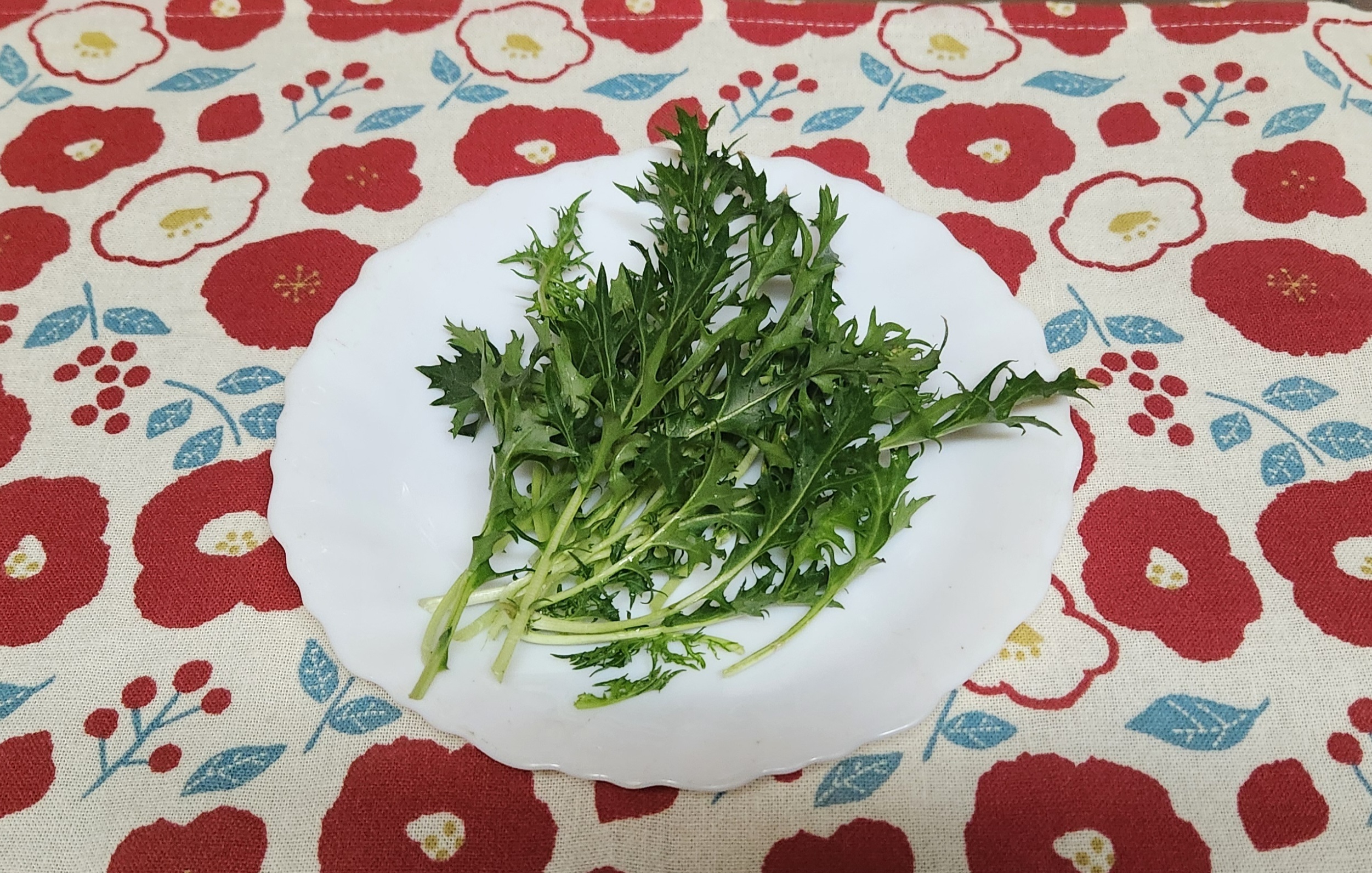 水菜の収穫 | CAINZ DIY Square