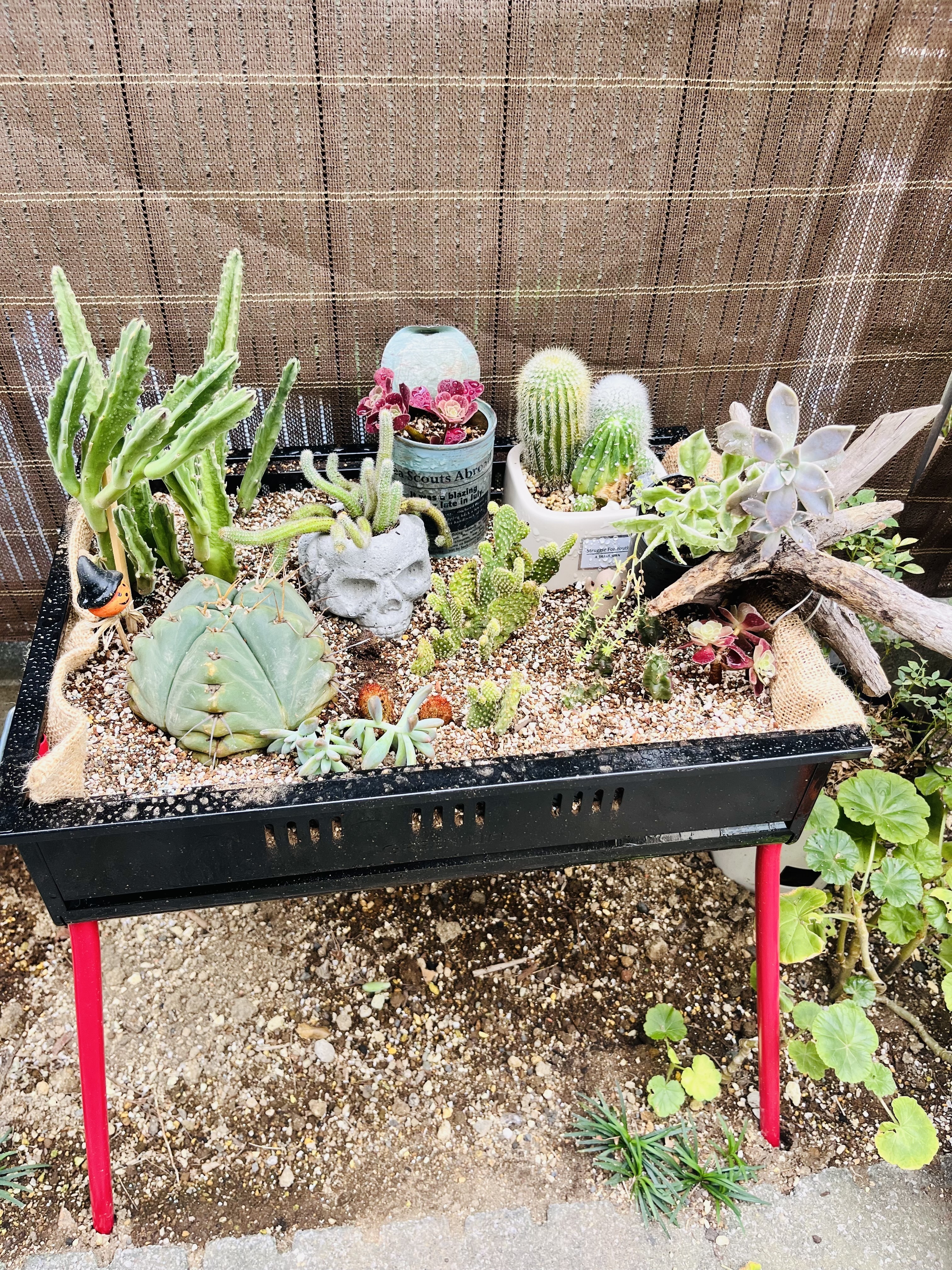 9b97f234-cc14-461f-9dfb-