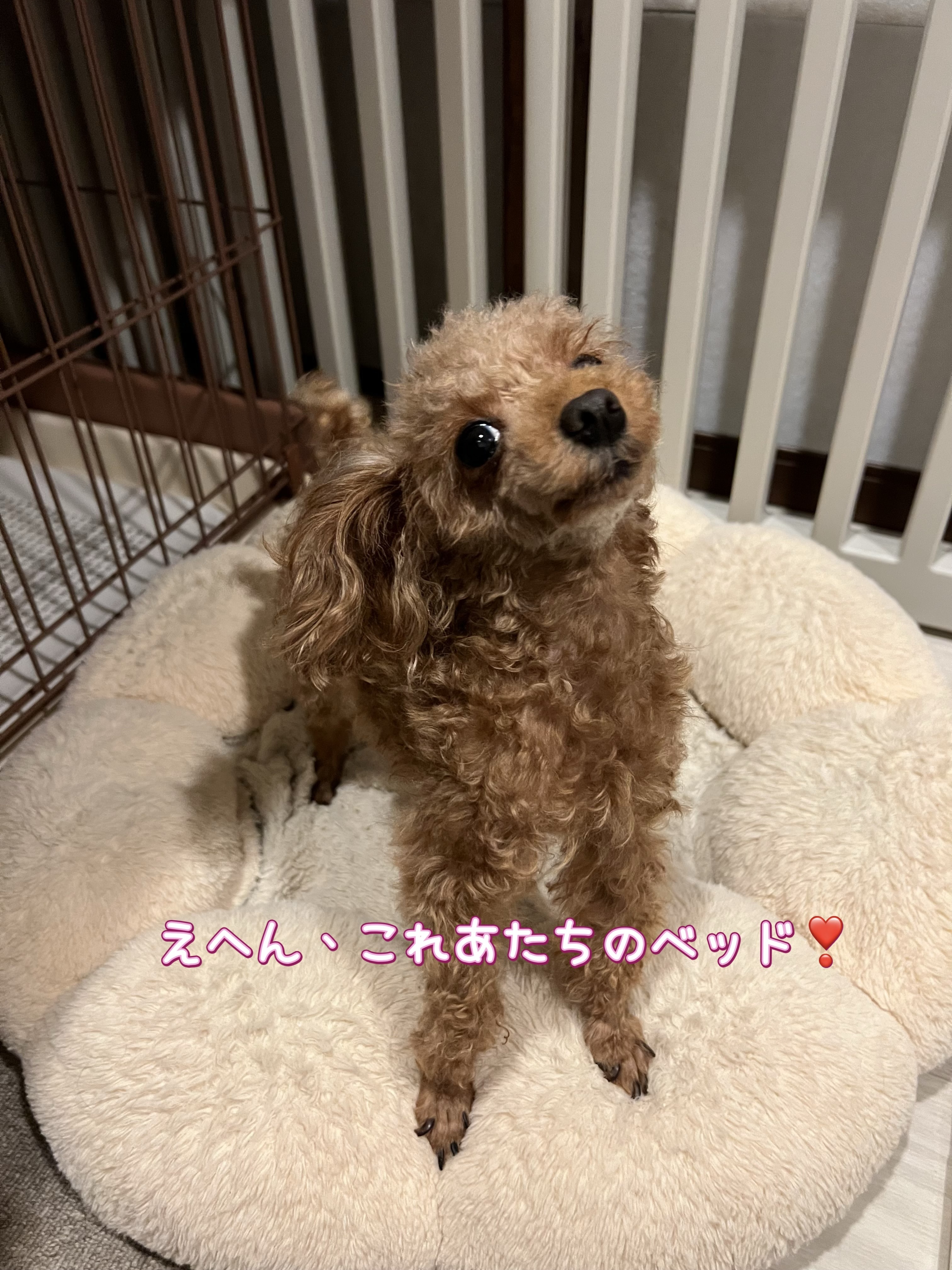 大きい方が好きなの