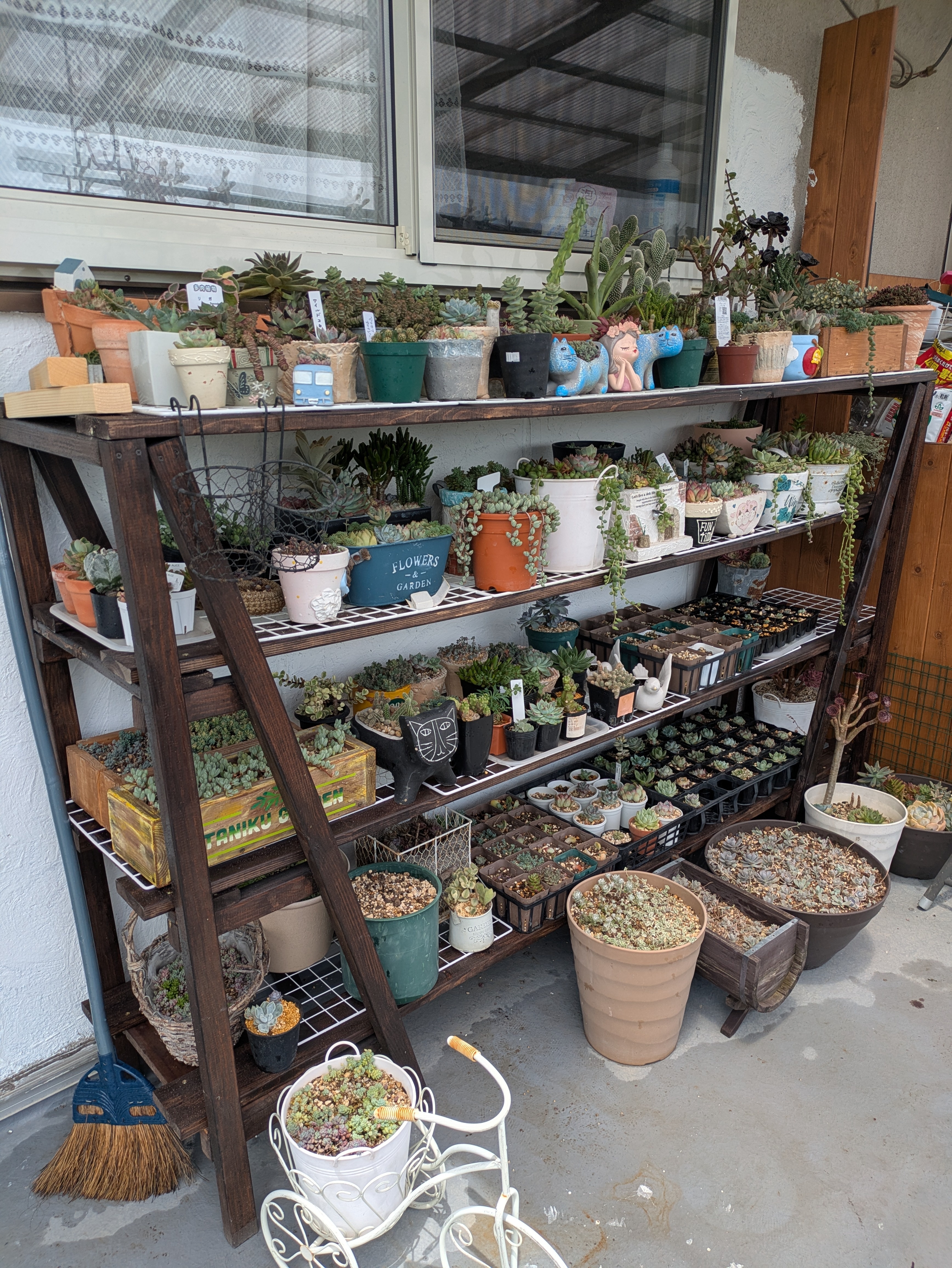 437959d8-c865-4620-918b-