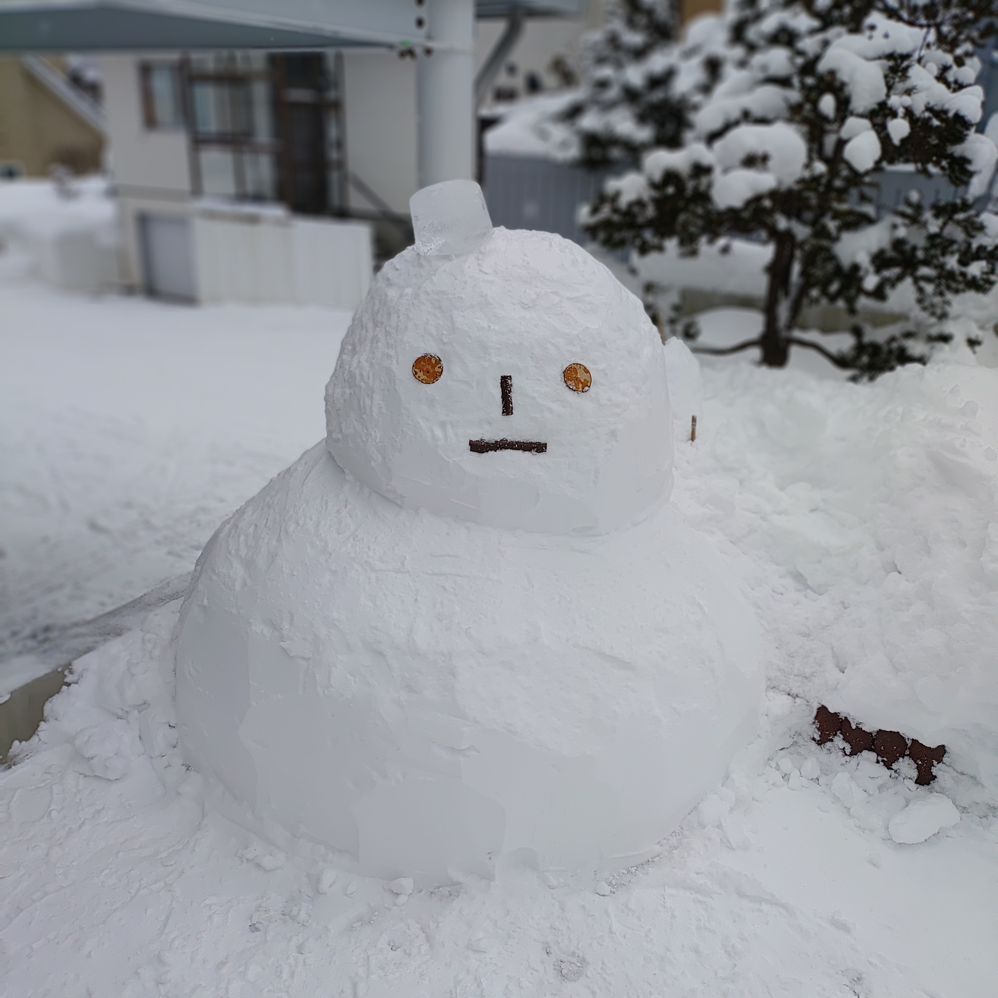 ゆきだるま ゆきだるま | TORQUE STYLE