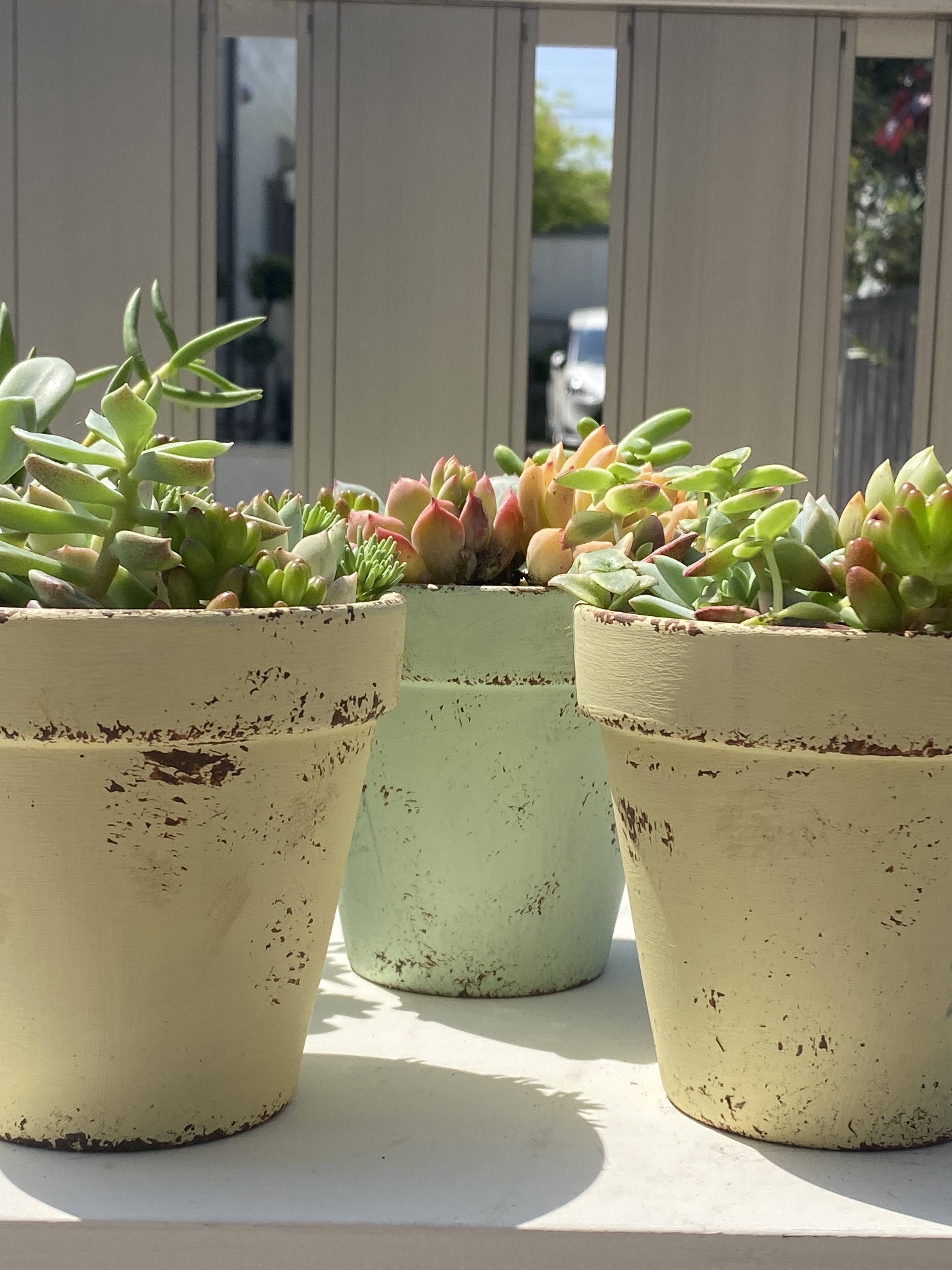 初の鉢ペイントと初多肉植物❣️ | CAINZ DIY Square