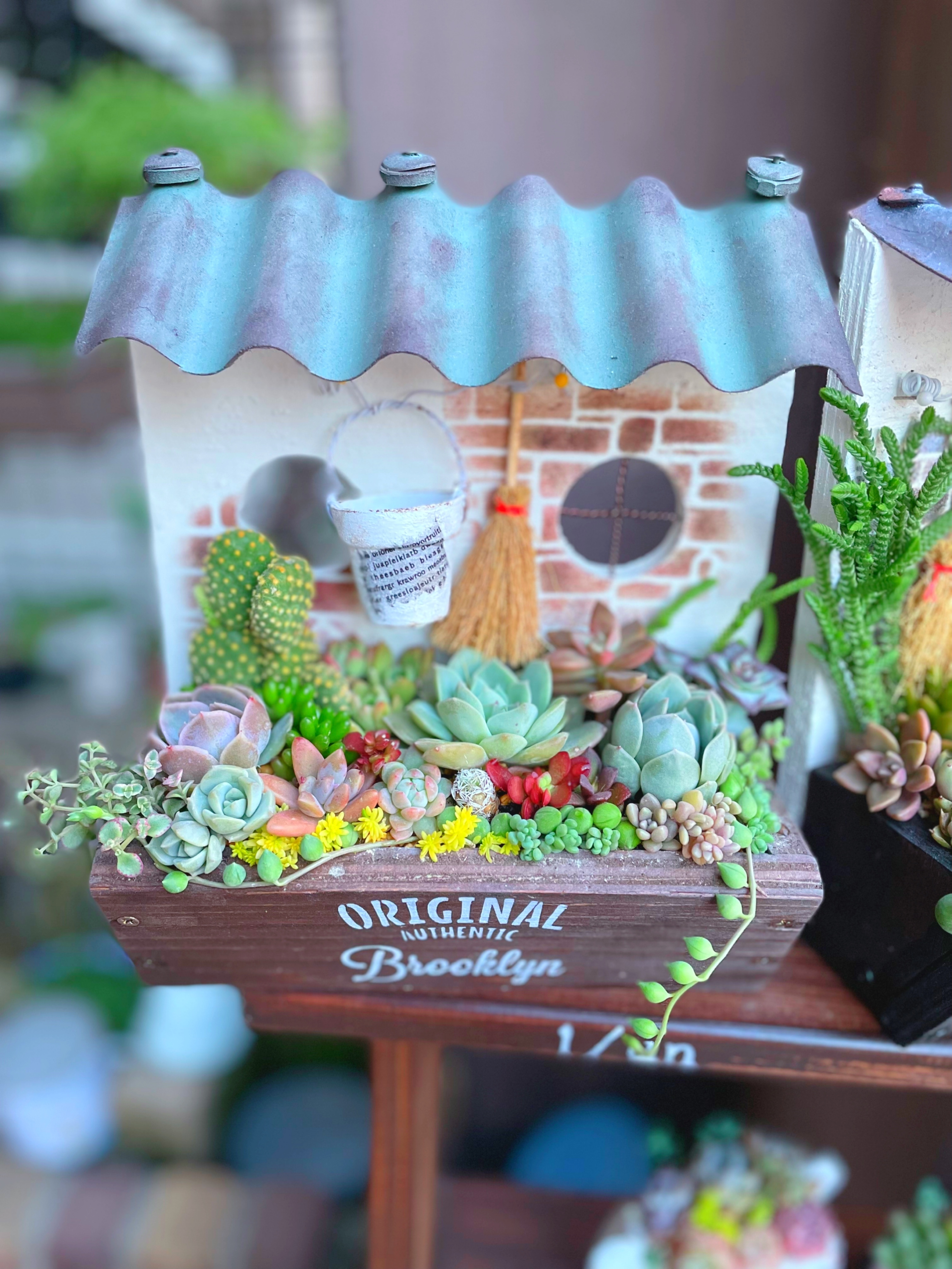 おうち型多肉プランターに寄せ植え🎶 | CAINZ DIY Square