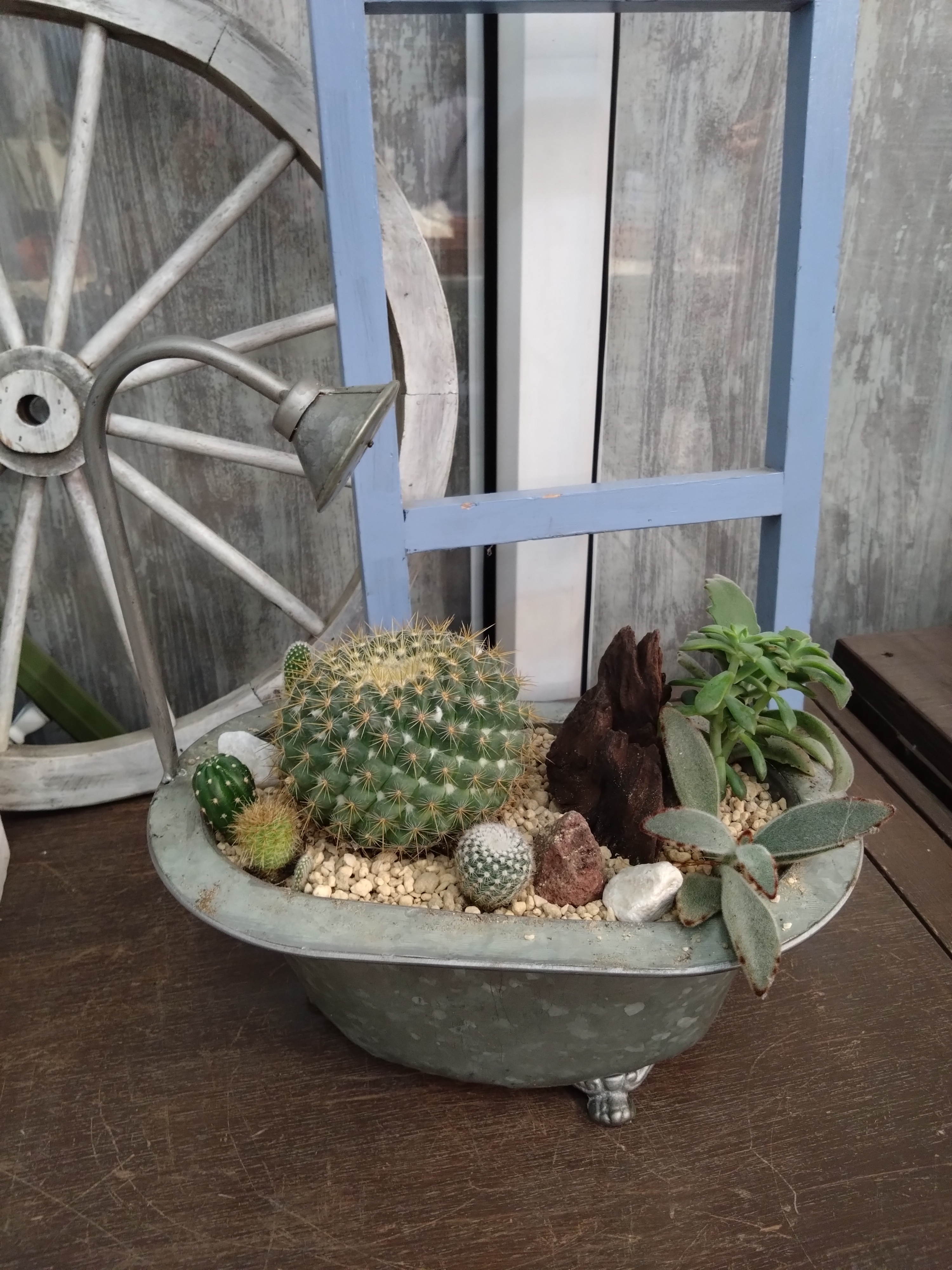GWドライガーデン | CAINZ DIY Square