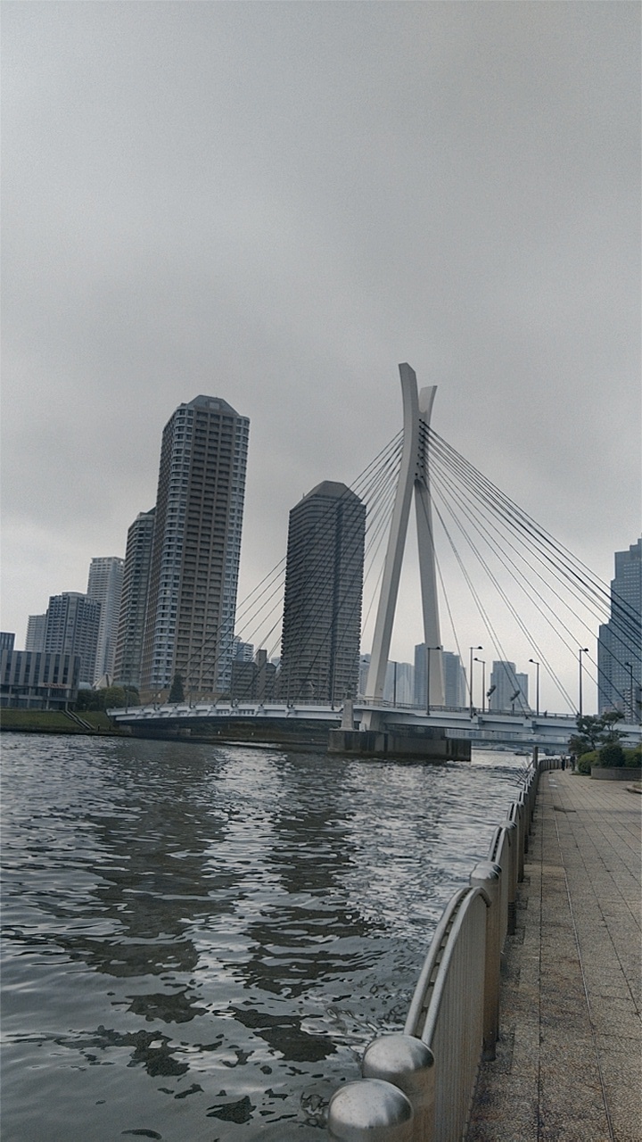 掛軸 能楽「隅田川」 隅田川の橋 day / night vol.3 | TORQUE STYLE