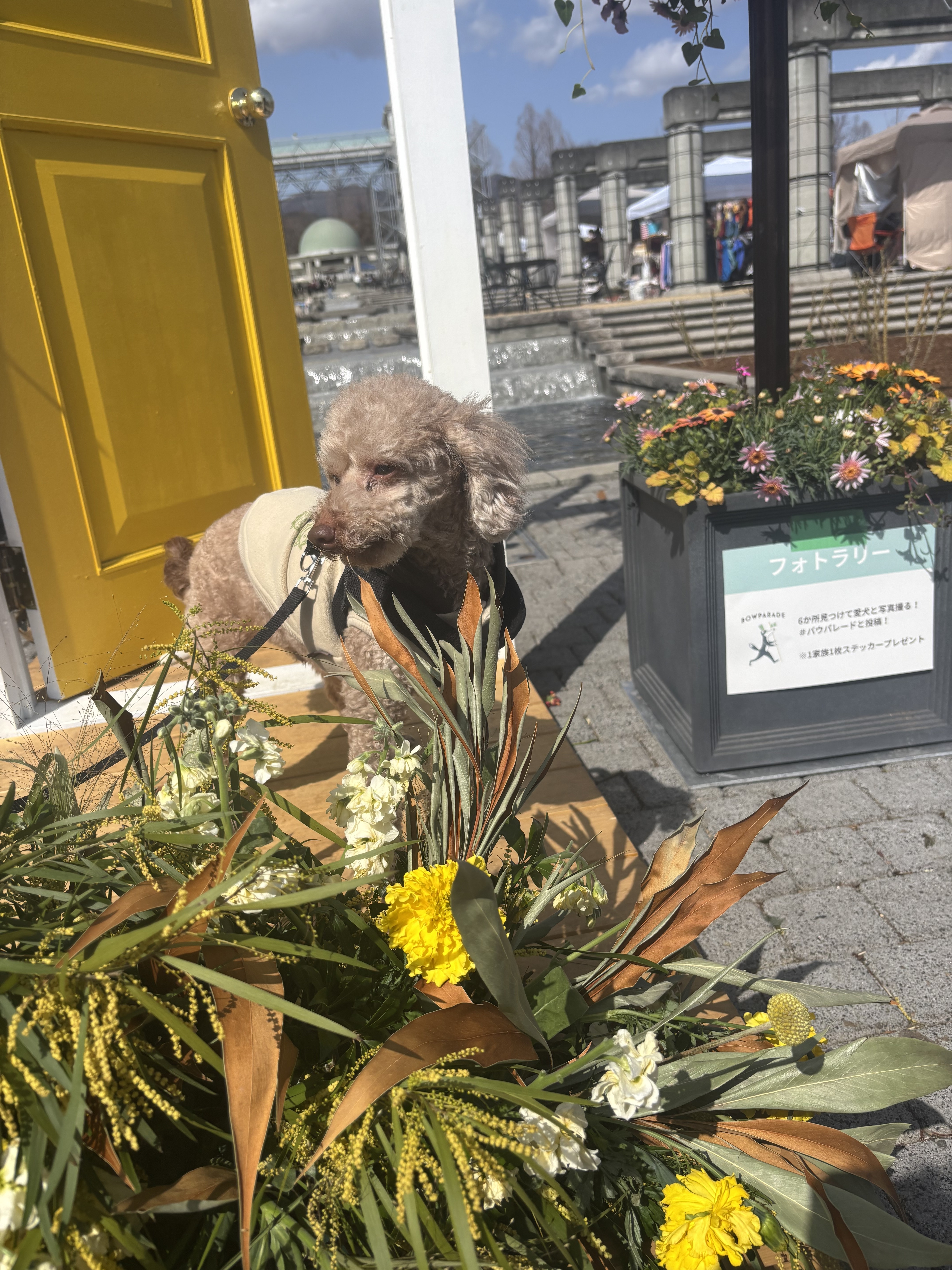 春風に誘われて