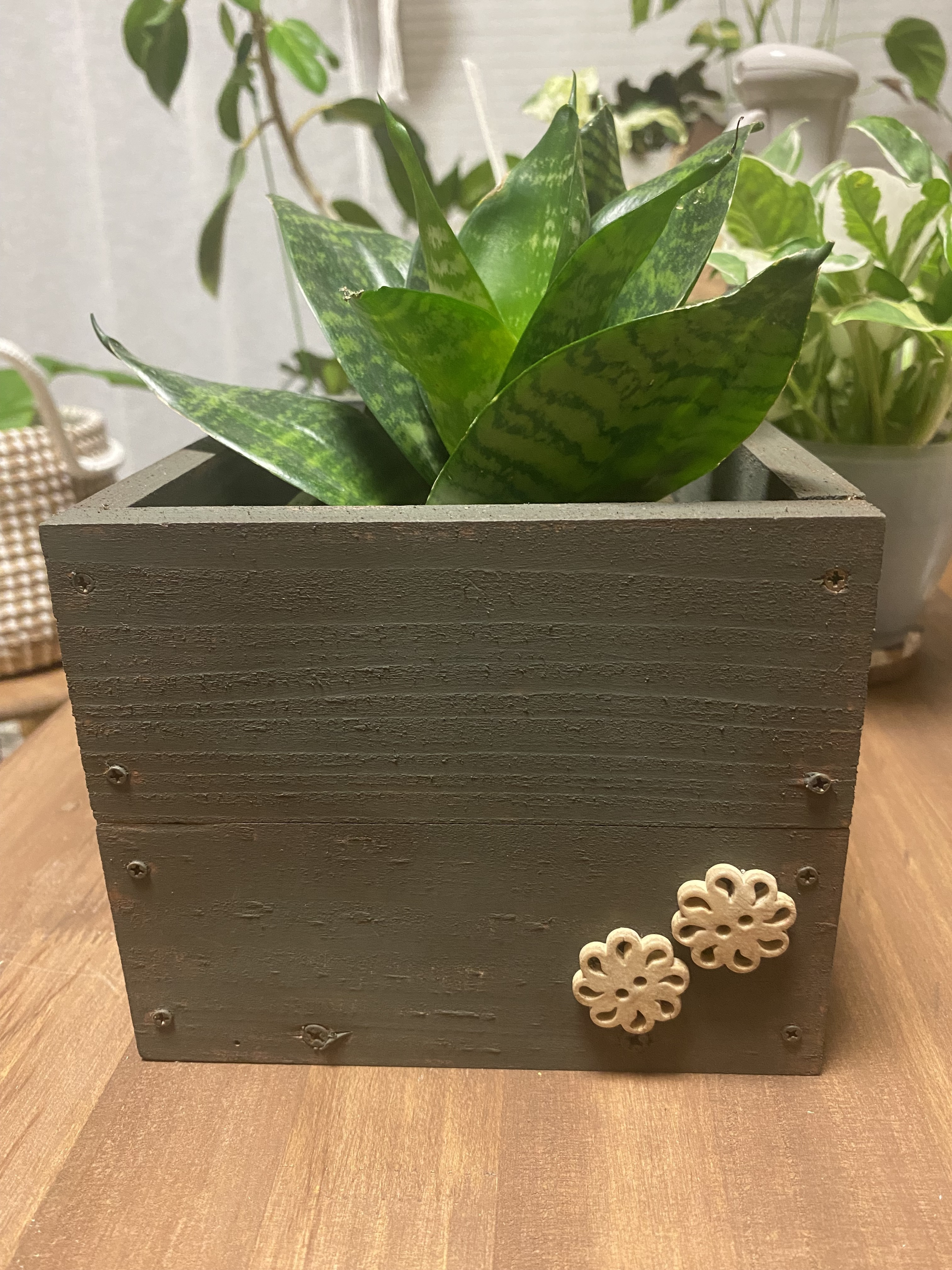 鉢カバー🪴 | CAINZ DIY Square