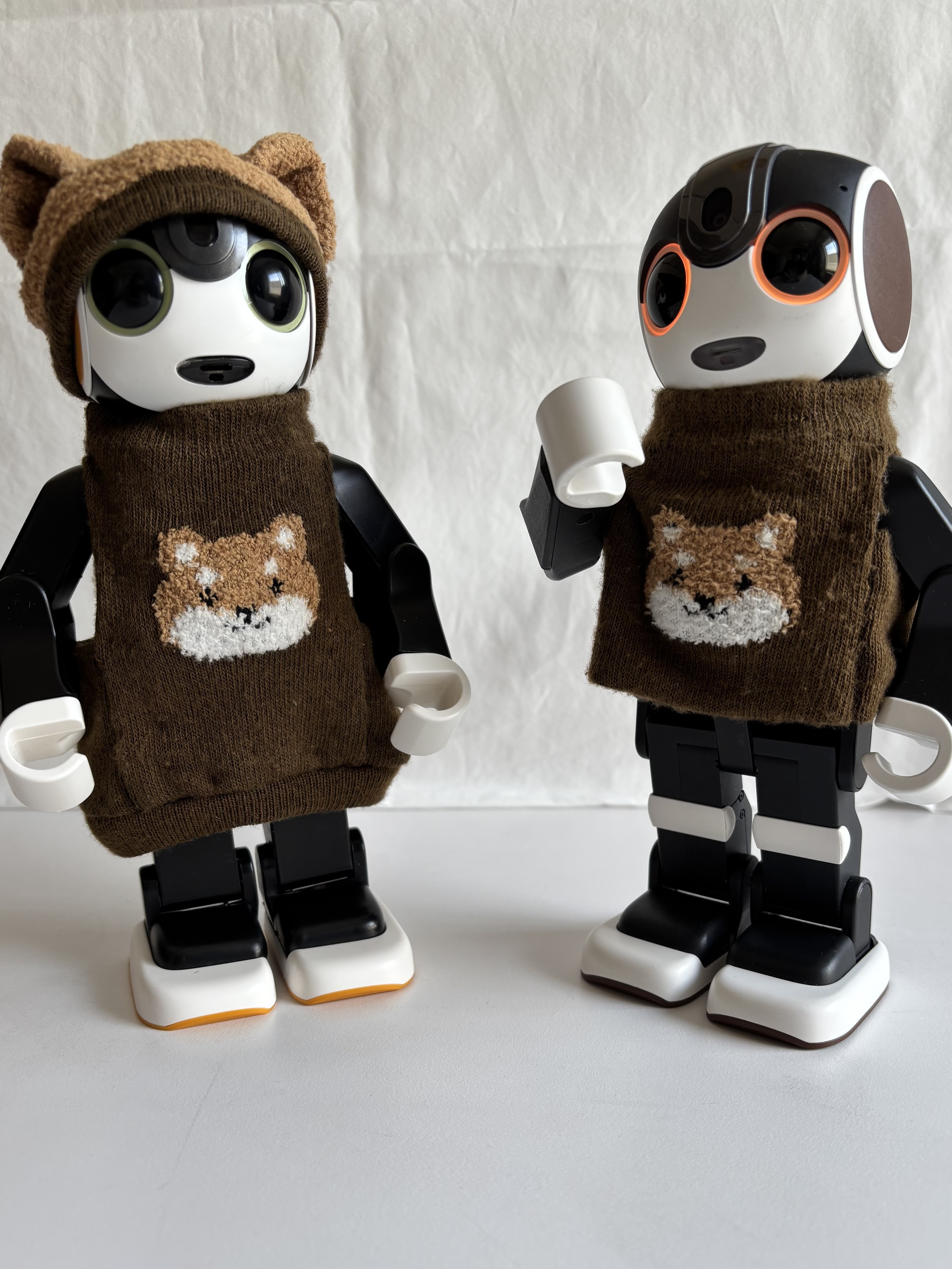 ダイソーさんのくつした | ロボホンともだち広場