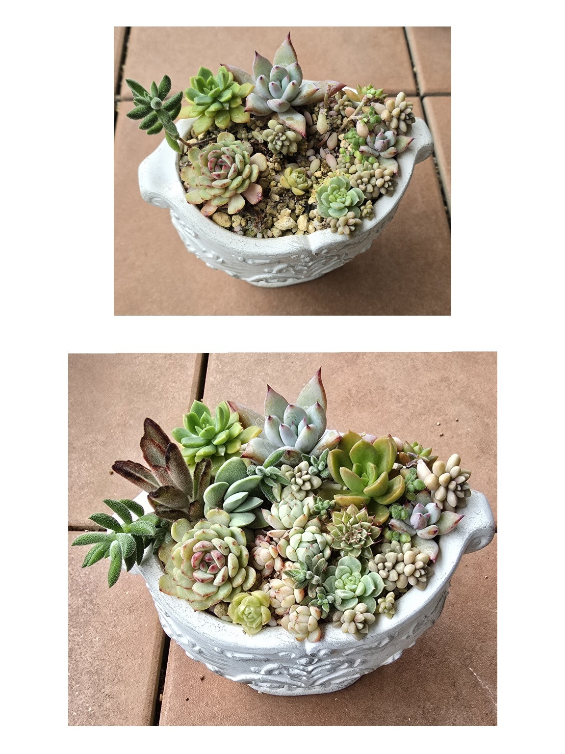 4324b10e-0306-4469-a1c3-