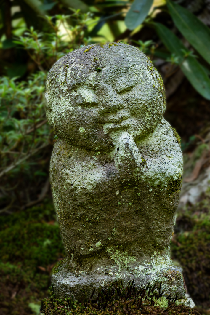 小さな祈り | PHOTO HUB by nikkor club