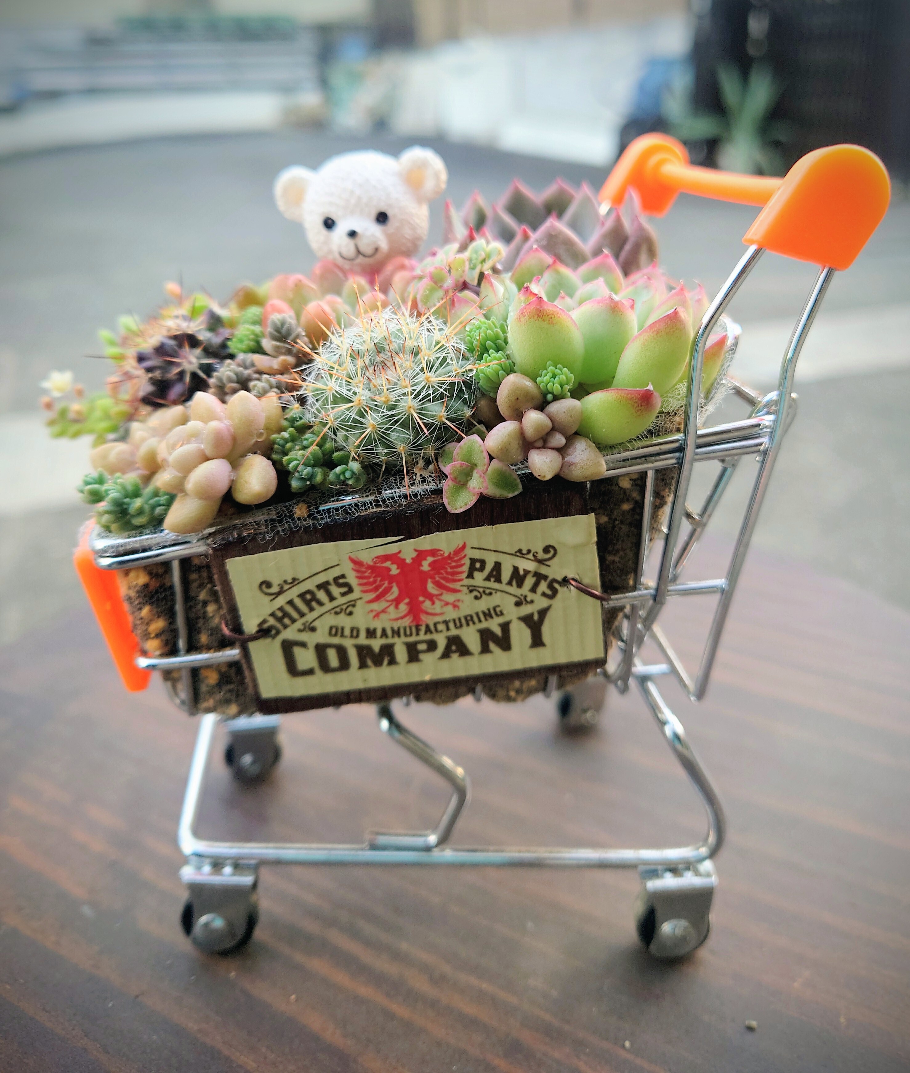 100均ショッピングカートに寄植え | CAINZ DIY Square