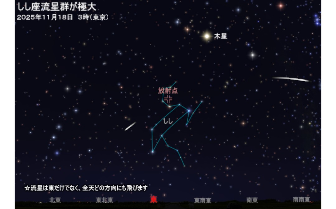 獅子座流星群が18日3時に極大🌠 | TORQUE STYLE