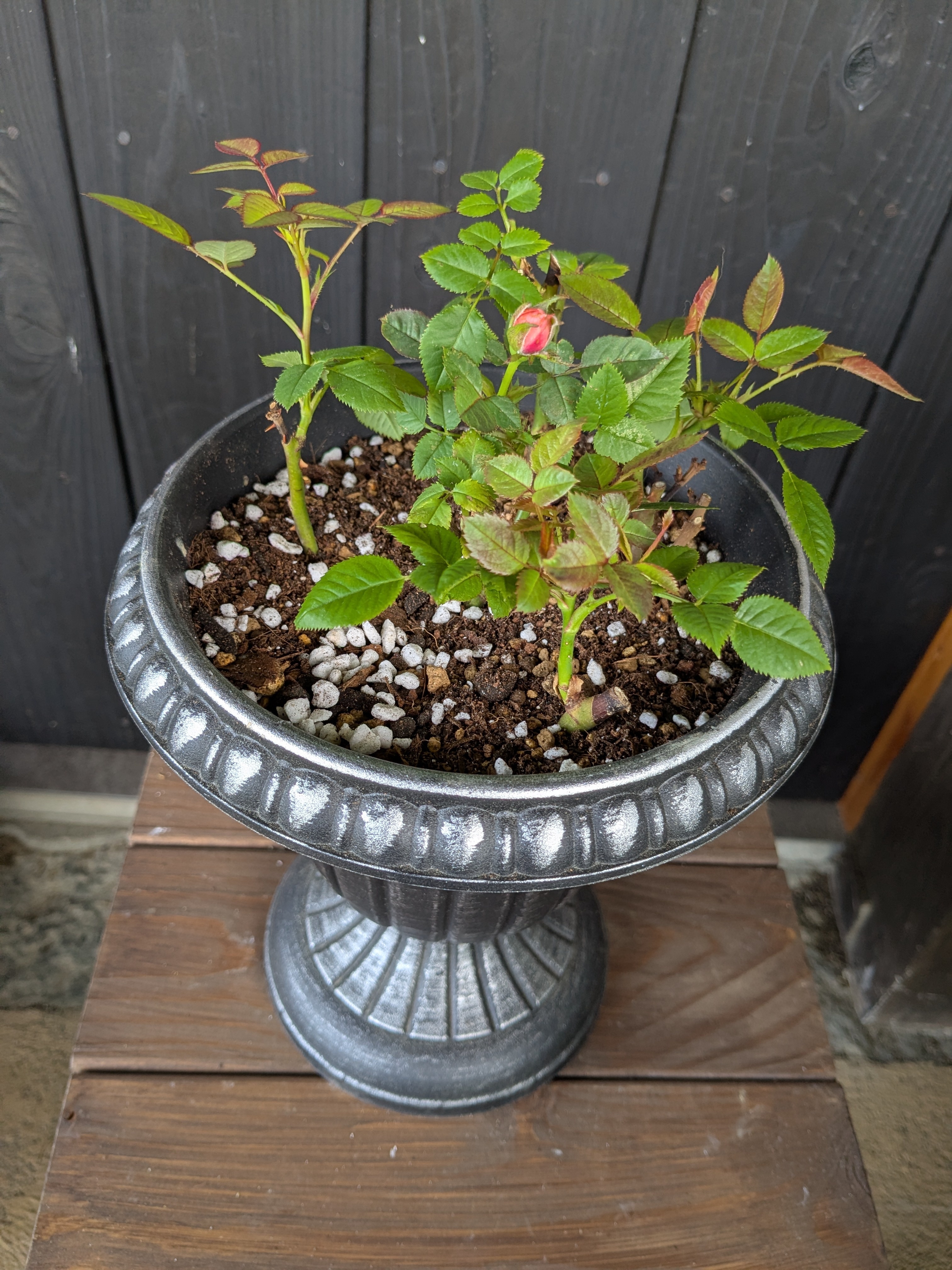 ddfbf592-f91e-4bd9-8d43-