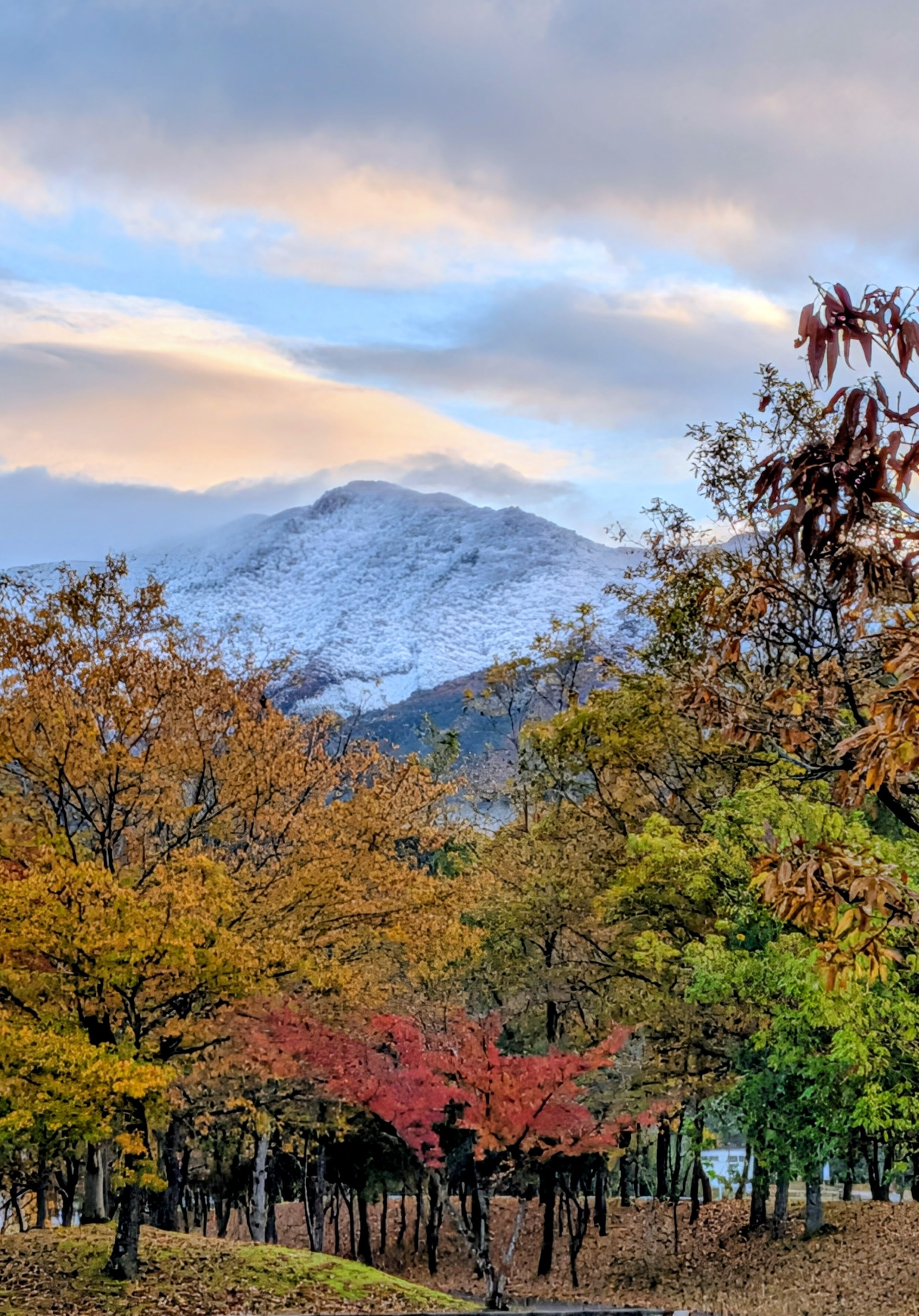 初冬の紅葉 | PHOTO HUB by nikkor club
