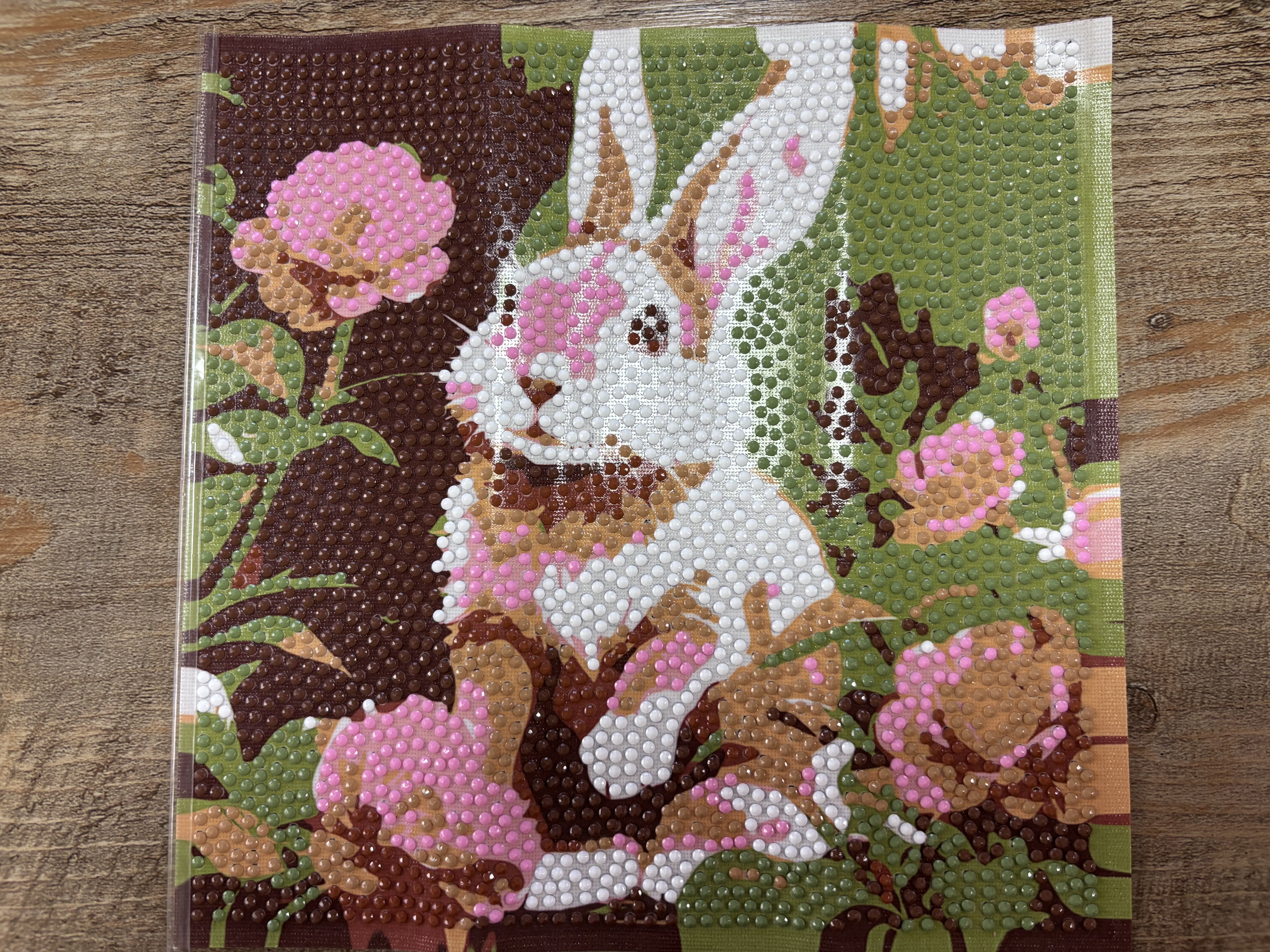 ダイヤモンドアート | CAINZ DIY Square