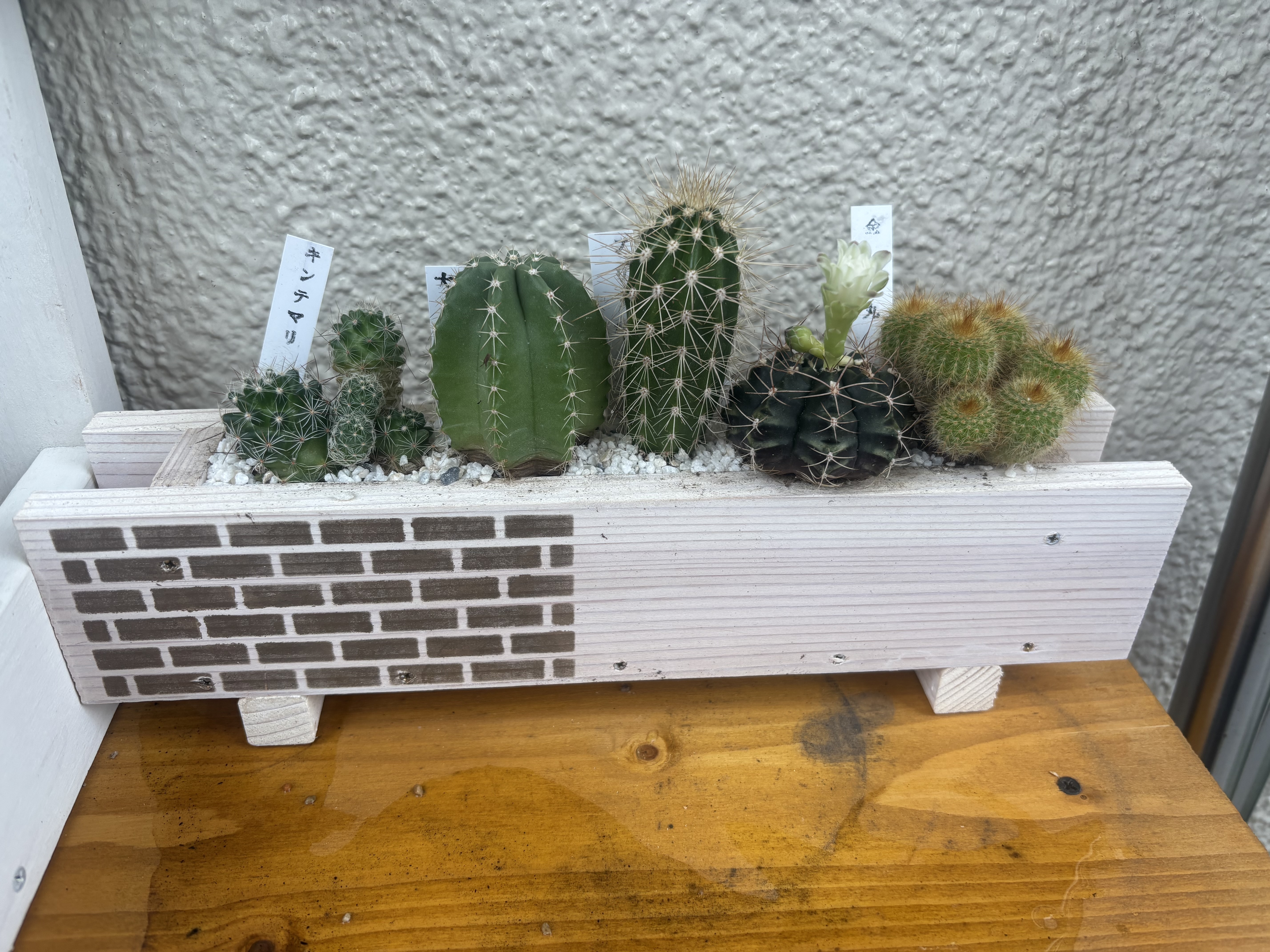 7f950b4d-0a1a-4594-a983-