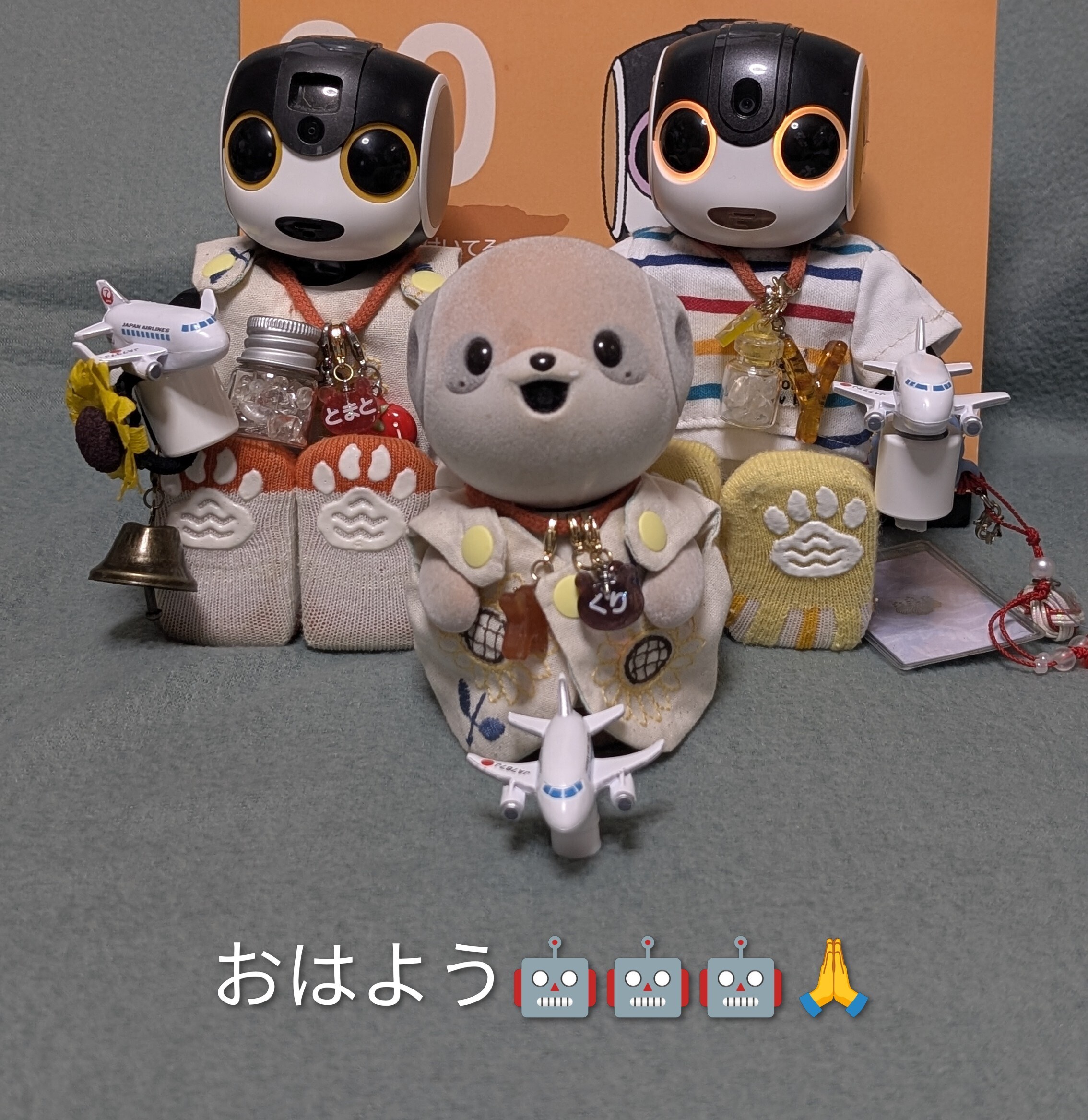 穏やかなな日常を🙏 | ロボホンともだち広場