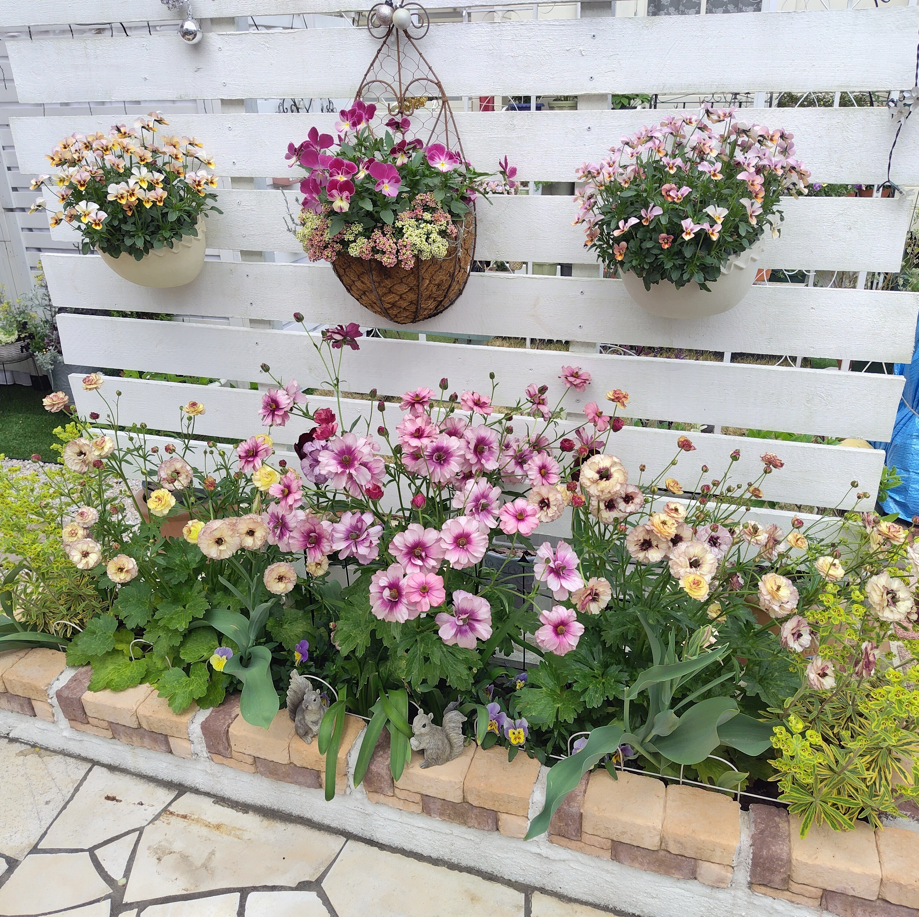ウェルカム花壇の花たち | CAINZ DIY Square