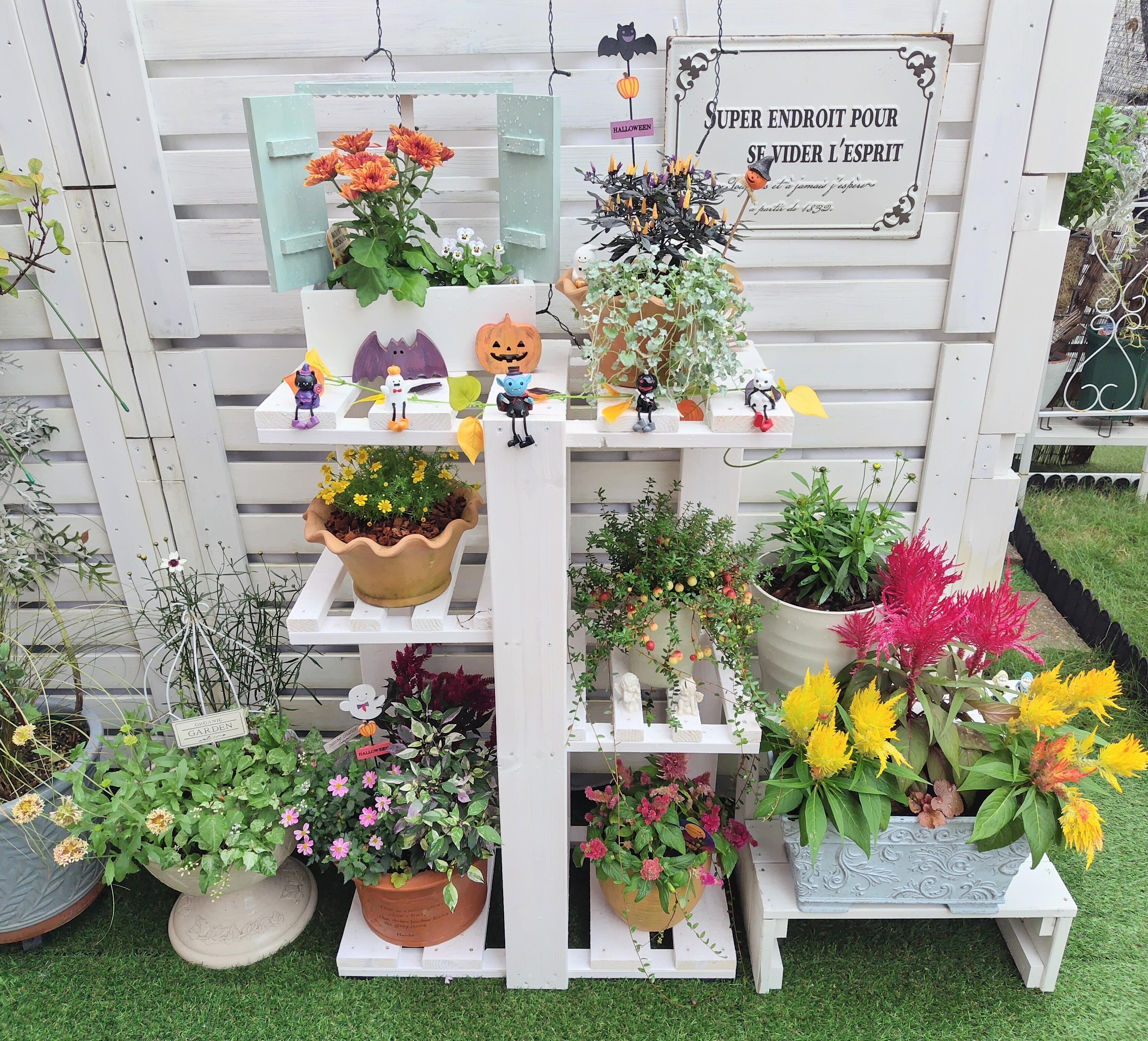 VANILLA HALLOWEEN ver 展示品 Witchy Orange-O-Weena Container - TheHolidayBarn.com