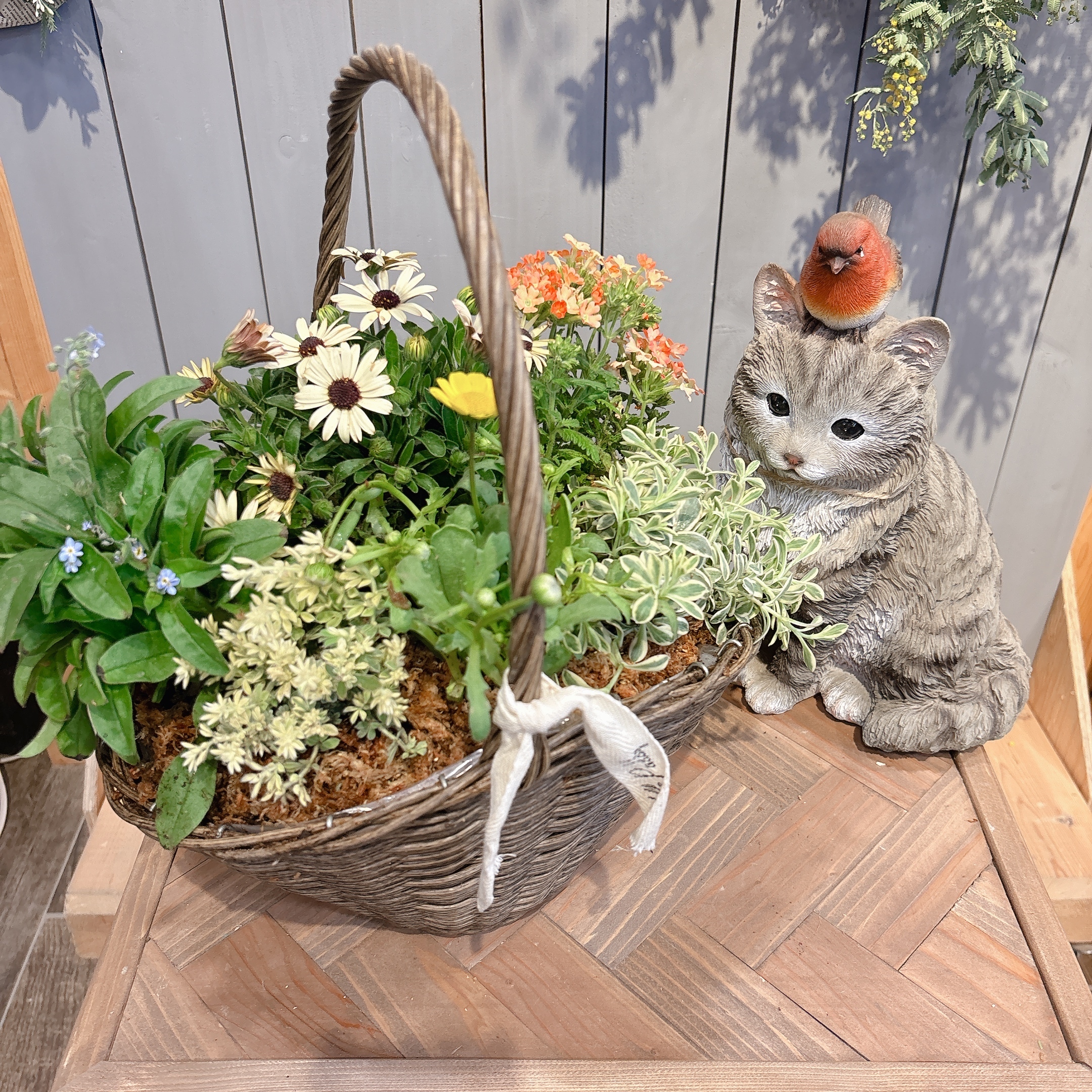 春 爛 漫 ❤︎ナチュラル籠の春の寄せ植え maxresdefault.jpg