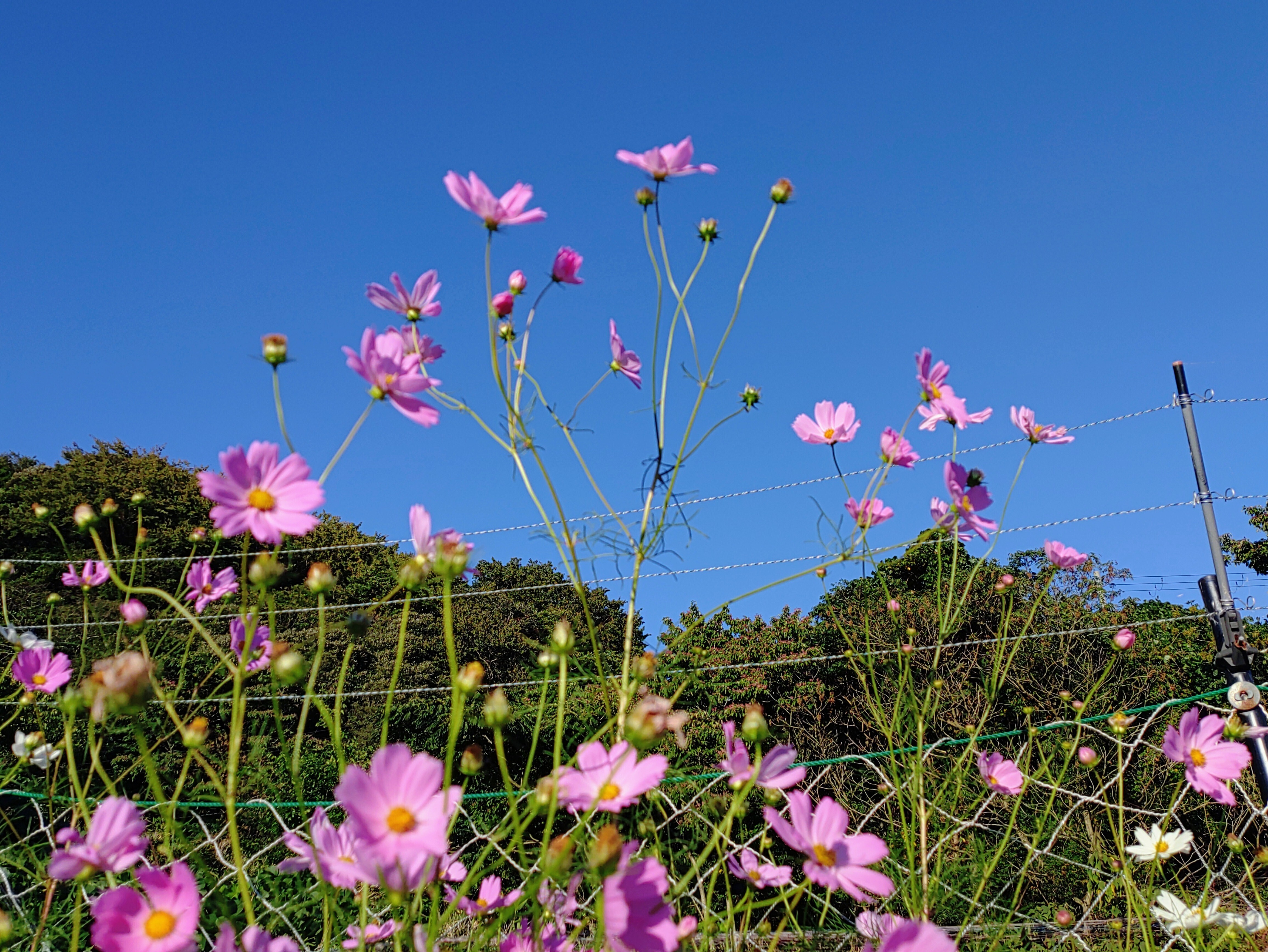 9c8f026e-2599-4e86-afaa-