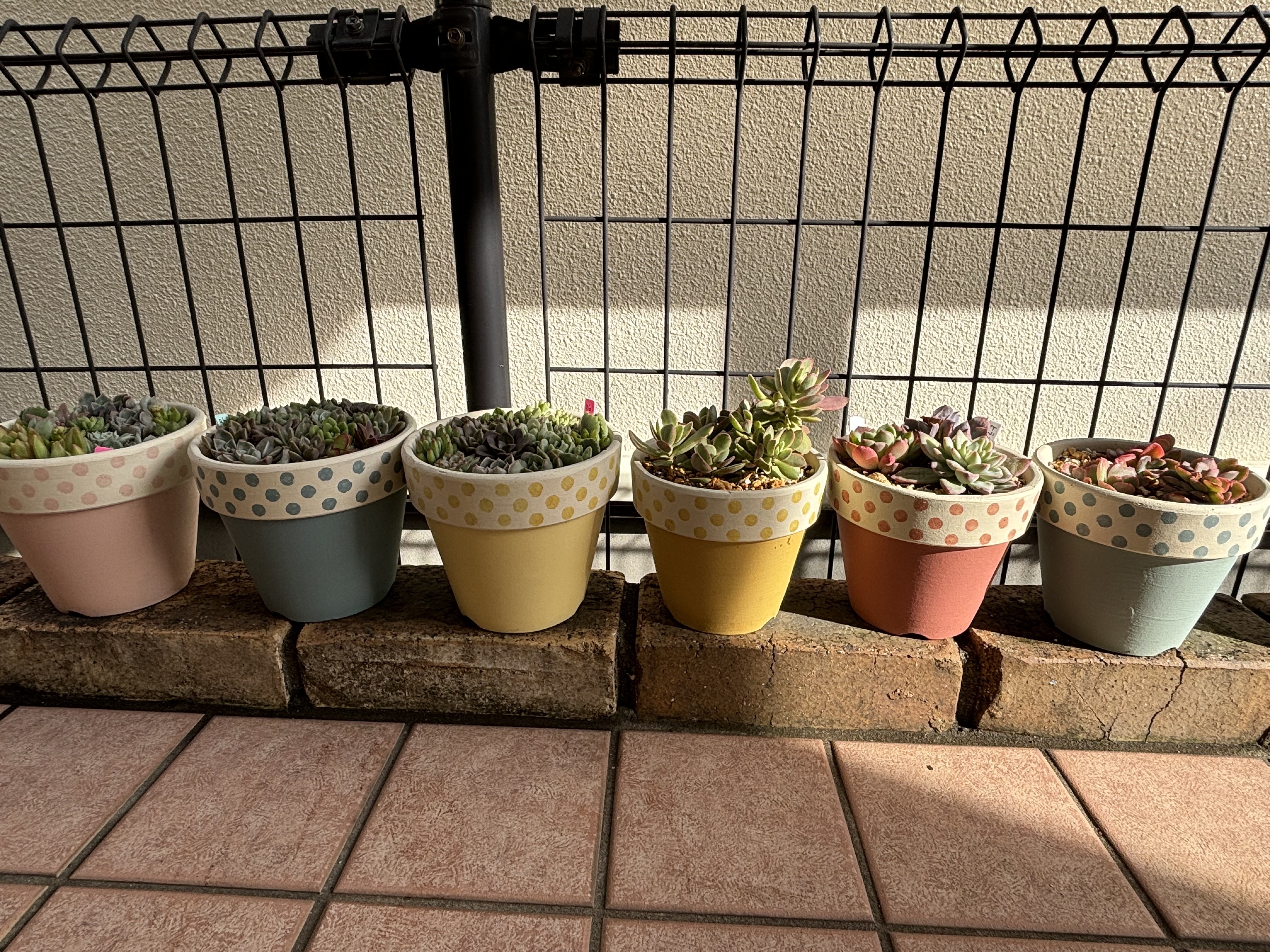 リメイク鉢 ☆ くれよん♡ cora chonリメイク鉢入荷しました！ | zakkashop candypop＊山形