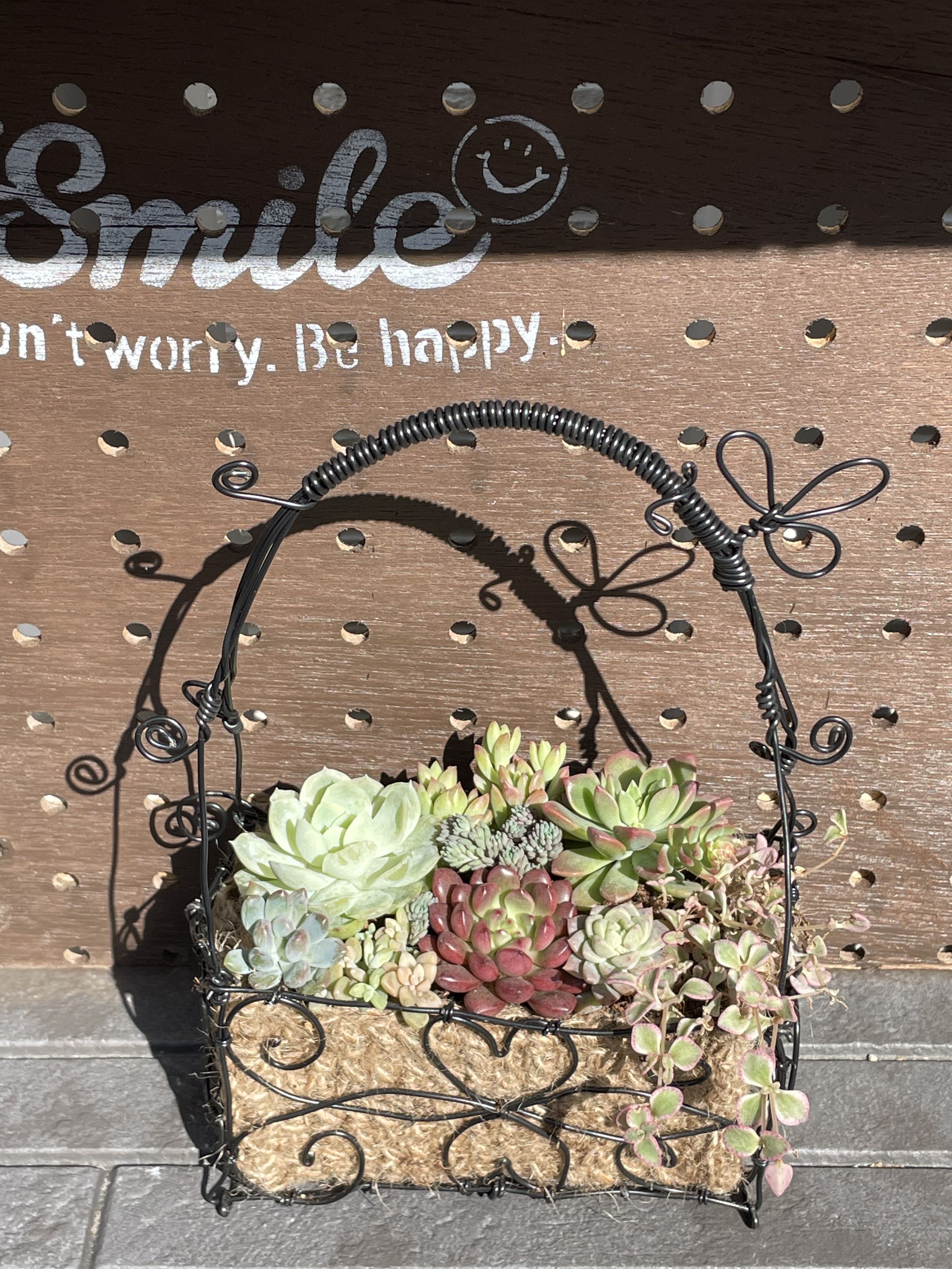 ワイヤークラフトで多肉寄せ植え | CAINZ DIY Square