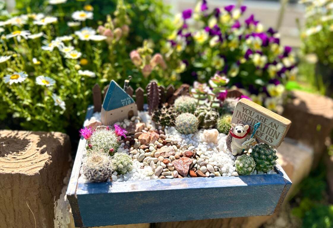 サボテン🌵の箱庭作りました☺️ | CAINZ DIY Square