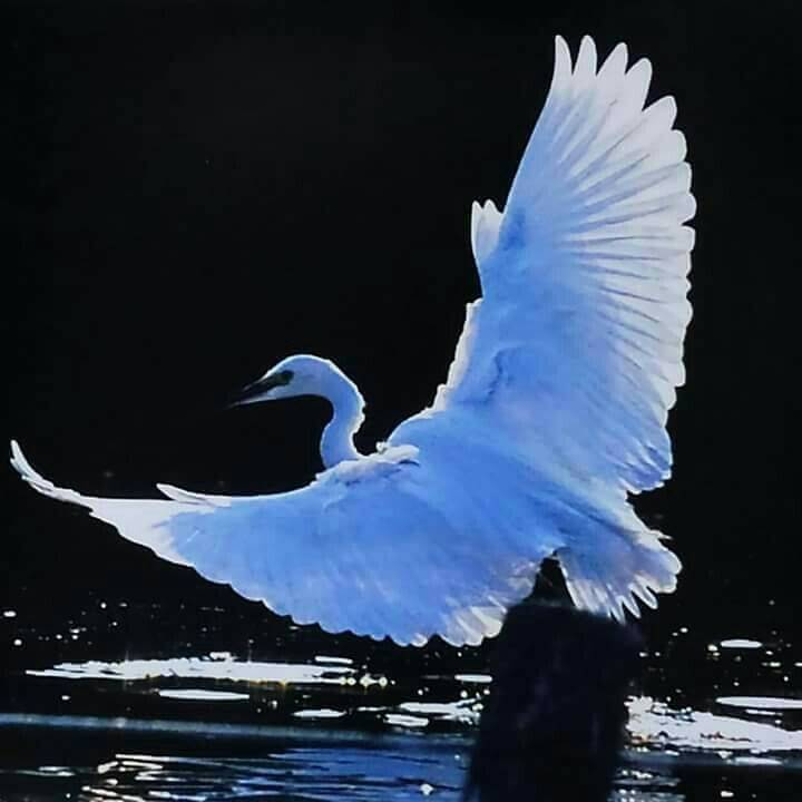 15e3b50e-d0eb-4e6f-9a90-