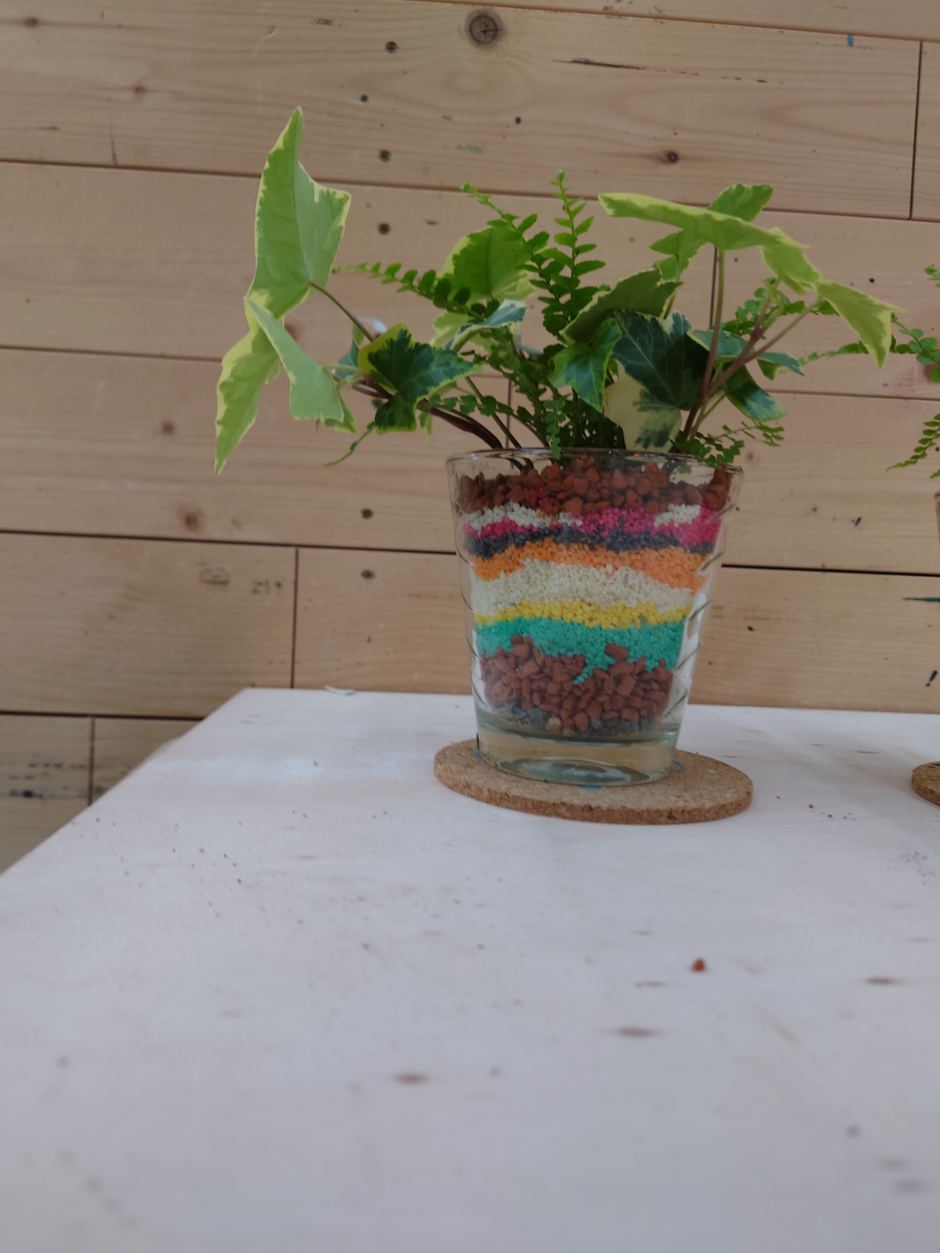 カラーサンドの観葉植物 | CAINZ DIY Square