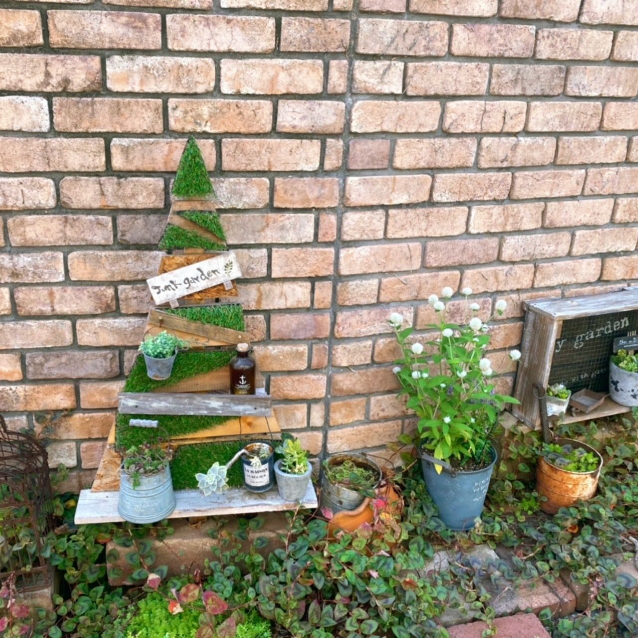 玄関前のガーデニング🌱 | CAINZ DIY Square