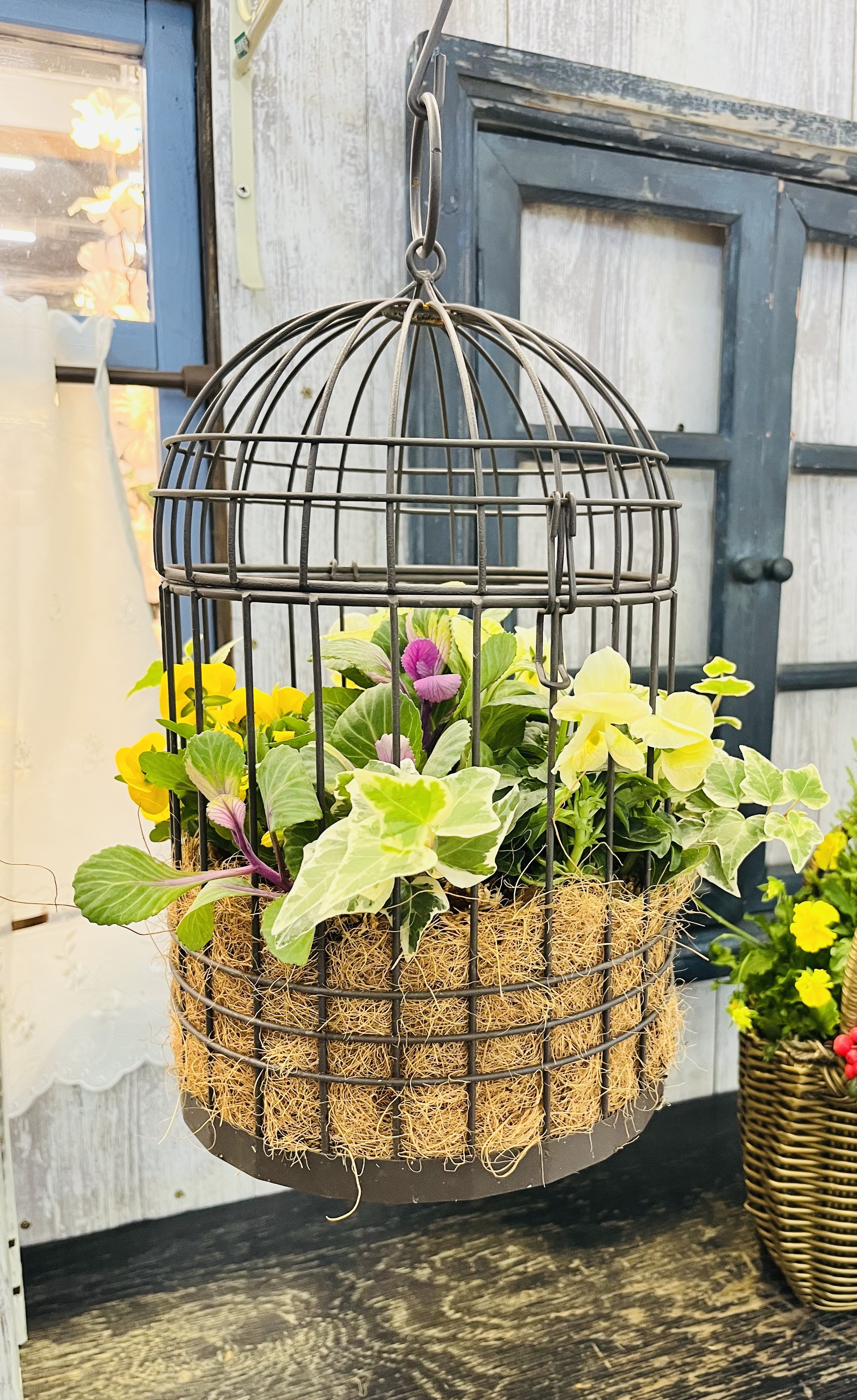 鳥かごの寄せ植え | CAINZ DIY Square